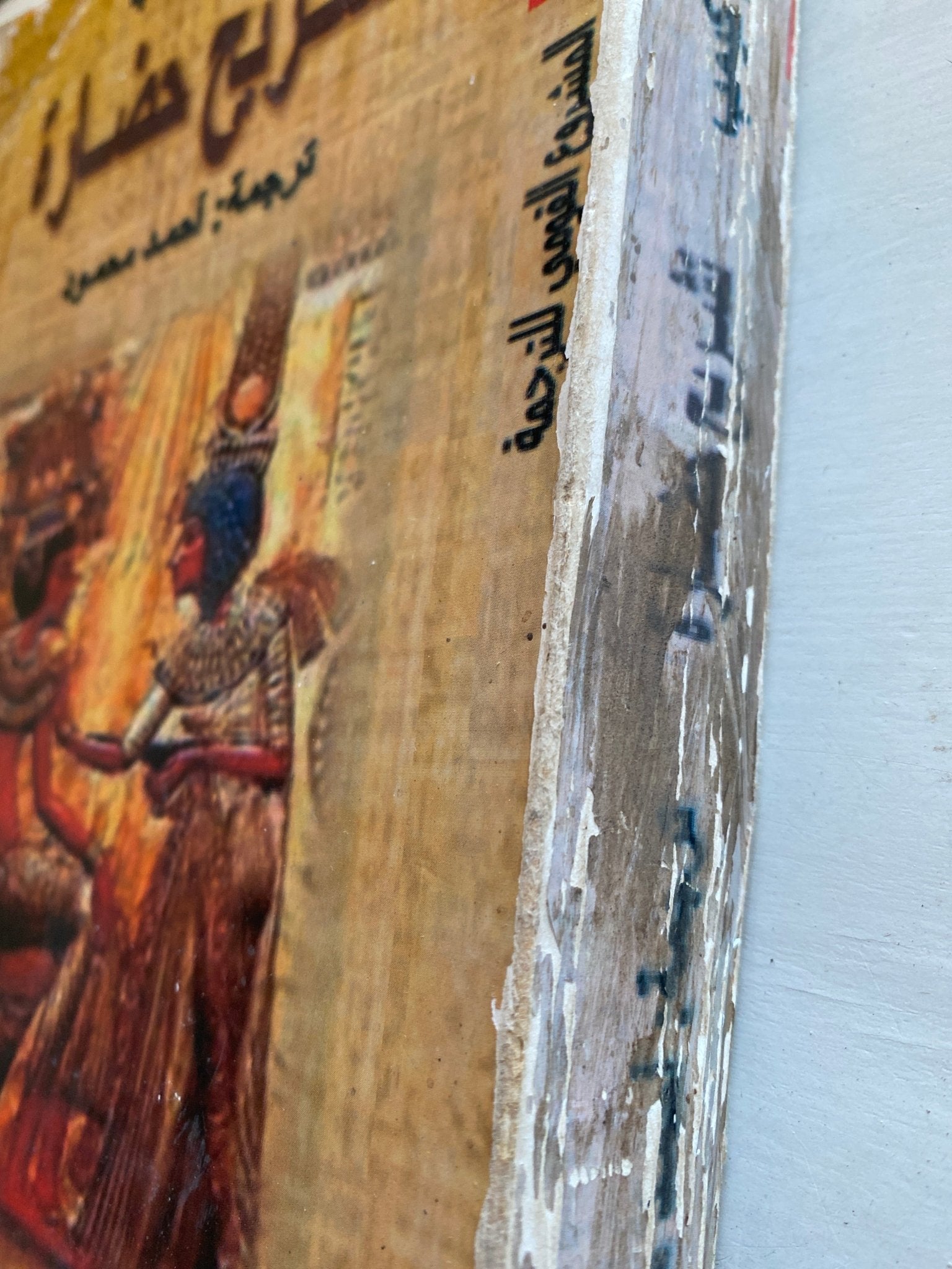 تشريح حضارة - مجلد ضخم - متجر كتب مصر - متجر كتب مصر