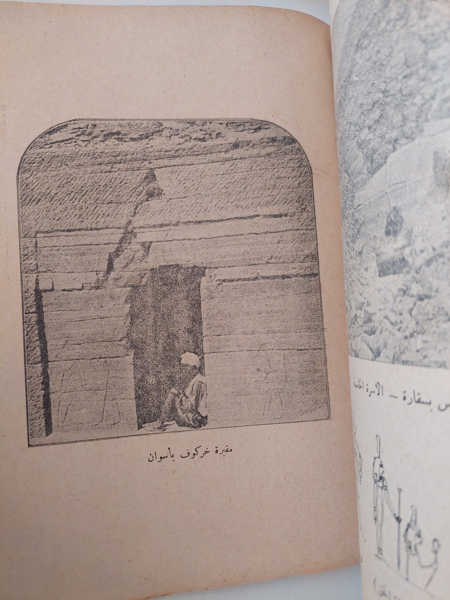 تطور الفكر والدين فى مصر القديمة / جيمس هنرى برستيد - ملحق بالصور - متجر كتب مصر - متجر كتب مصر