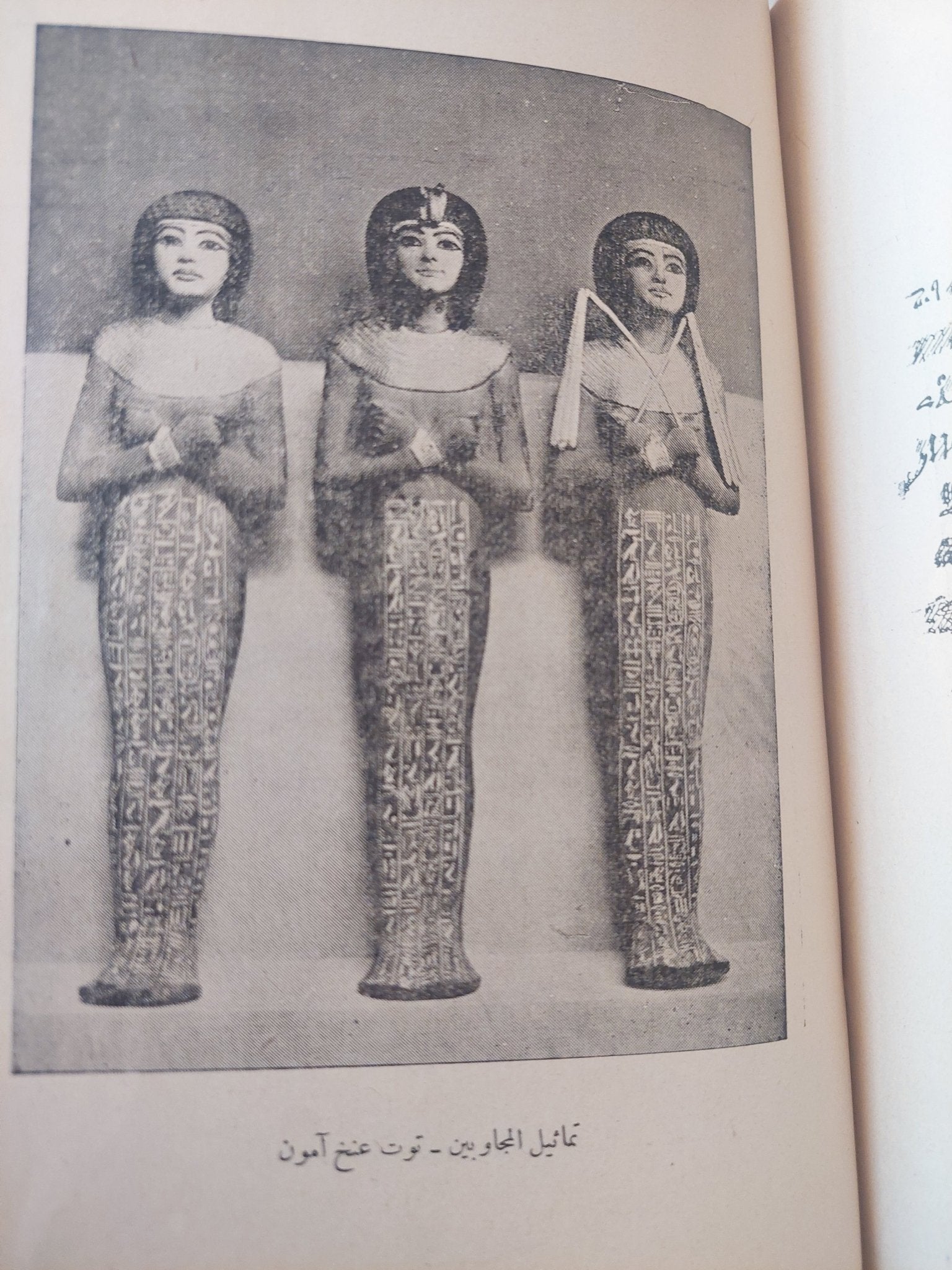 تطور الفكر والدين فى مصر القديمة / جيمس هنرى برستيد - ملحق بالصور - متجر كتب مصر - متجر كتب مصر