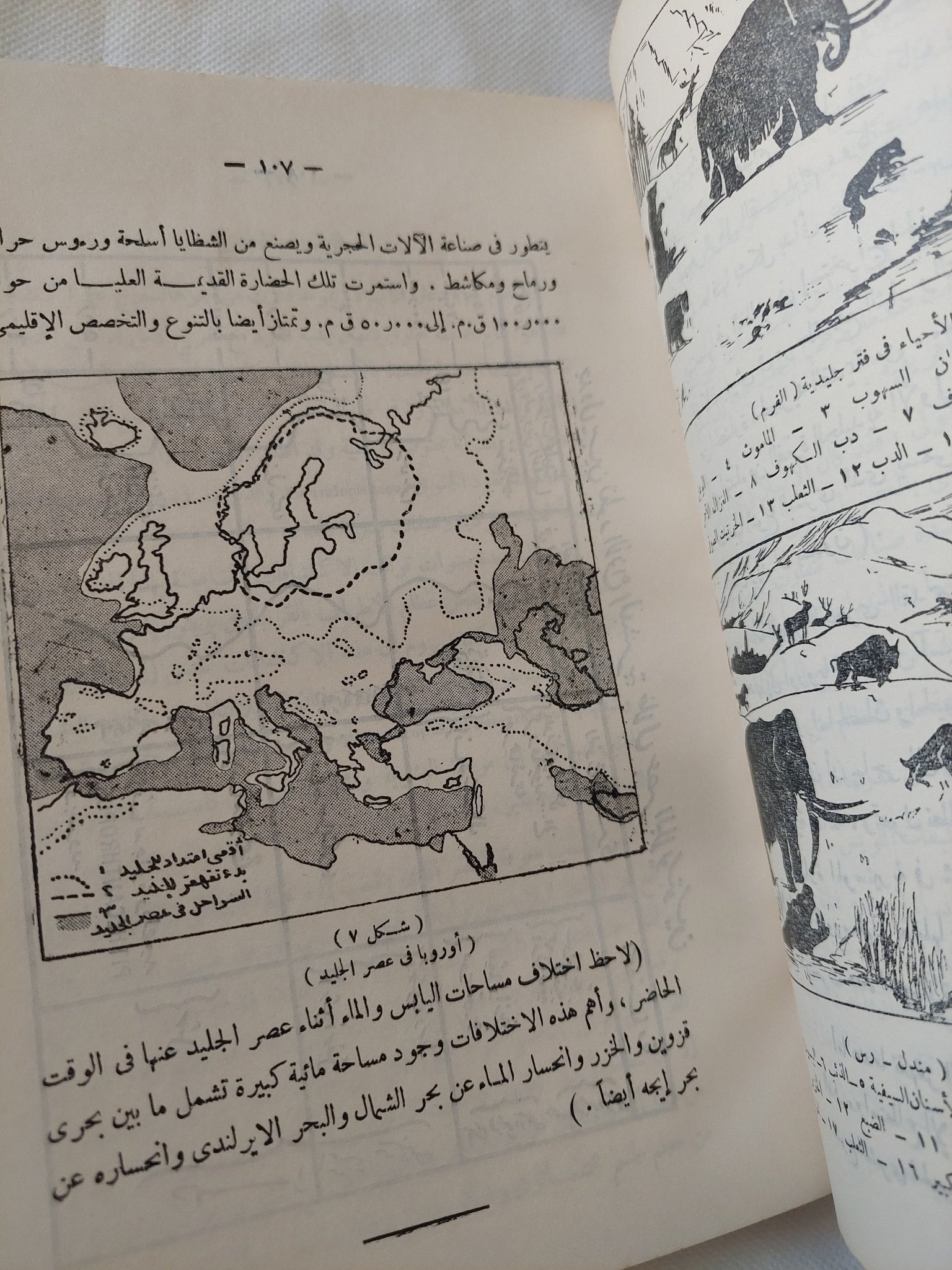 تطور الجنس البشرى / محمد السيد غلاب - هارد كفر ١٩٥٧ - متجر كتب مصر - المكتبة الفلسفية