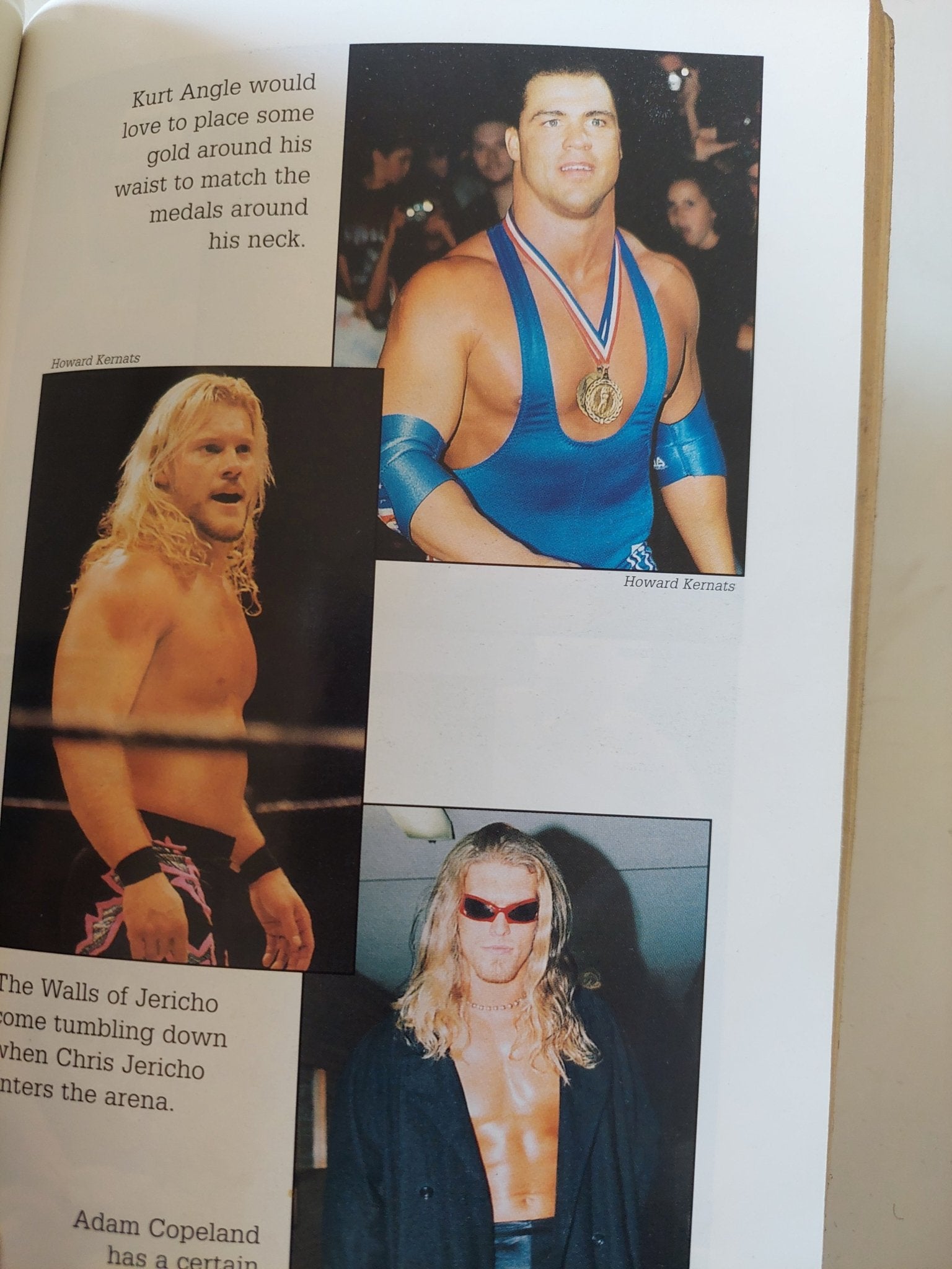 Wrestling's Heroes and Villains / Robert Picarello - ملحق بالصور - متجر كتب مصر - متجر كتب مصر