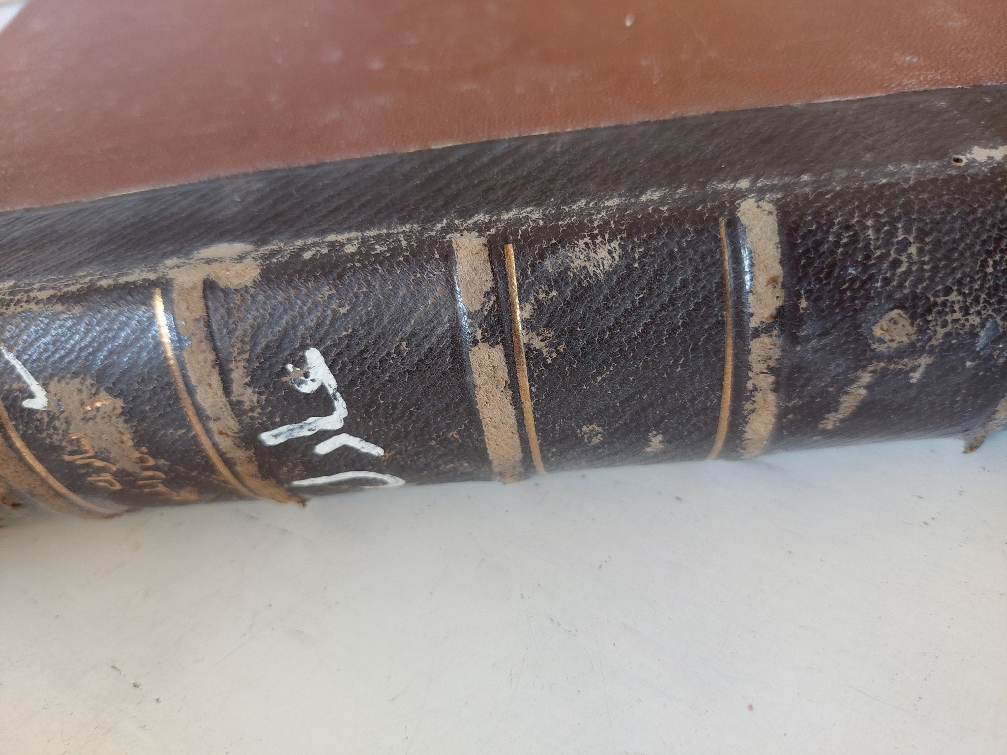 يسألونك فى الدين والحياة / أحمد الشرباصى - هارد كفر - متجر كتب مصر - المكتبة الفلسفية