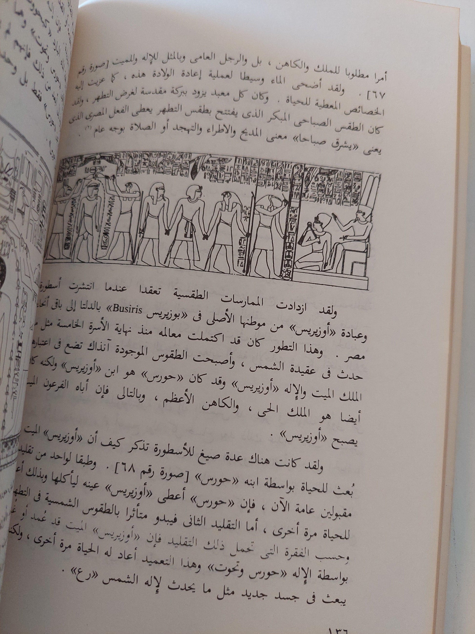 الديانة المصرية القديمة / ياروسلاف تشرني ط1 ( ملحق خاص بالصور ) - متجر كتب مصر