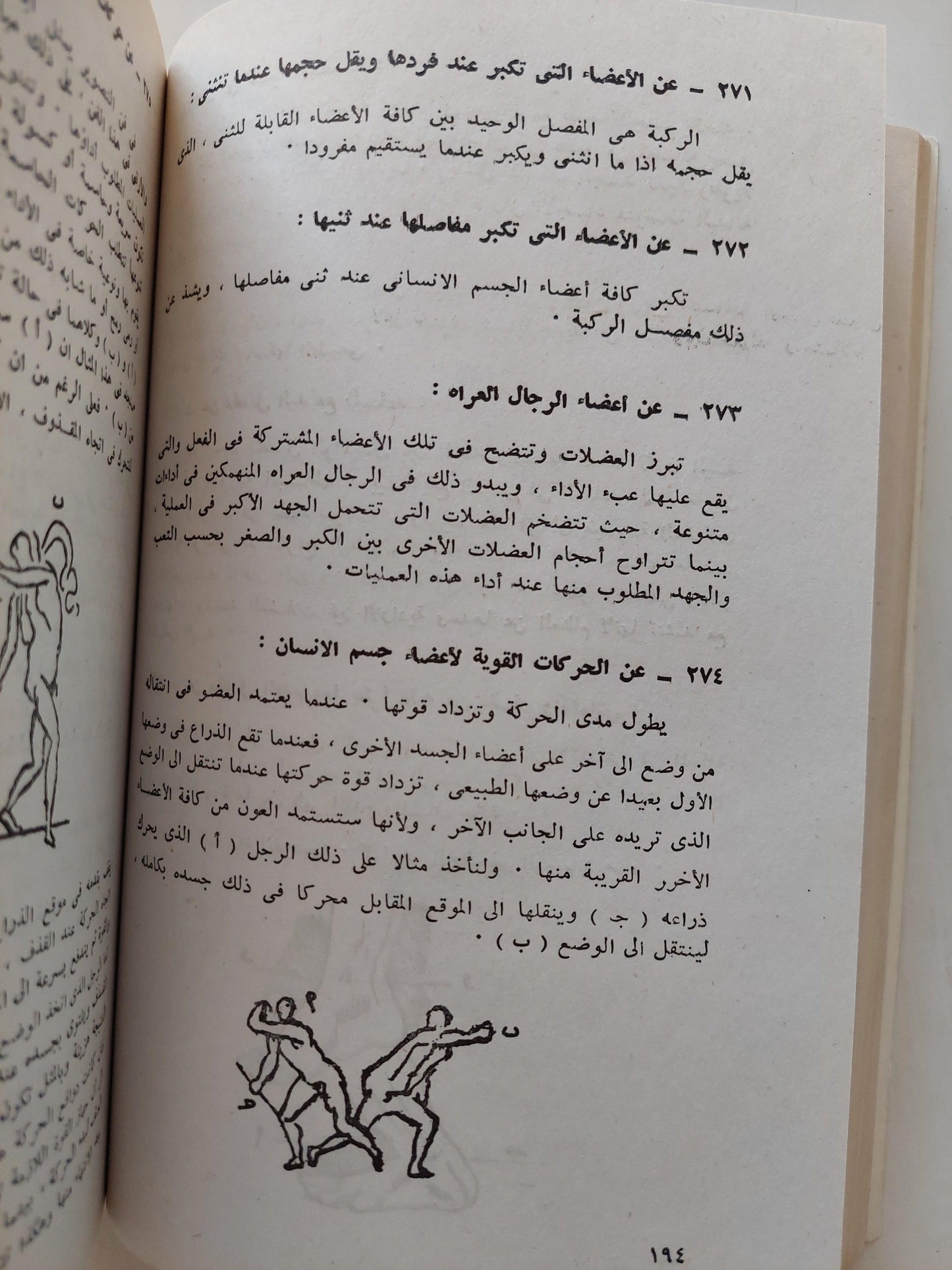 نظرية التصوير / ليوناردو دافنشي - متجر كتب مصر