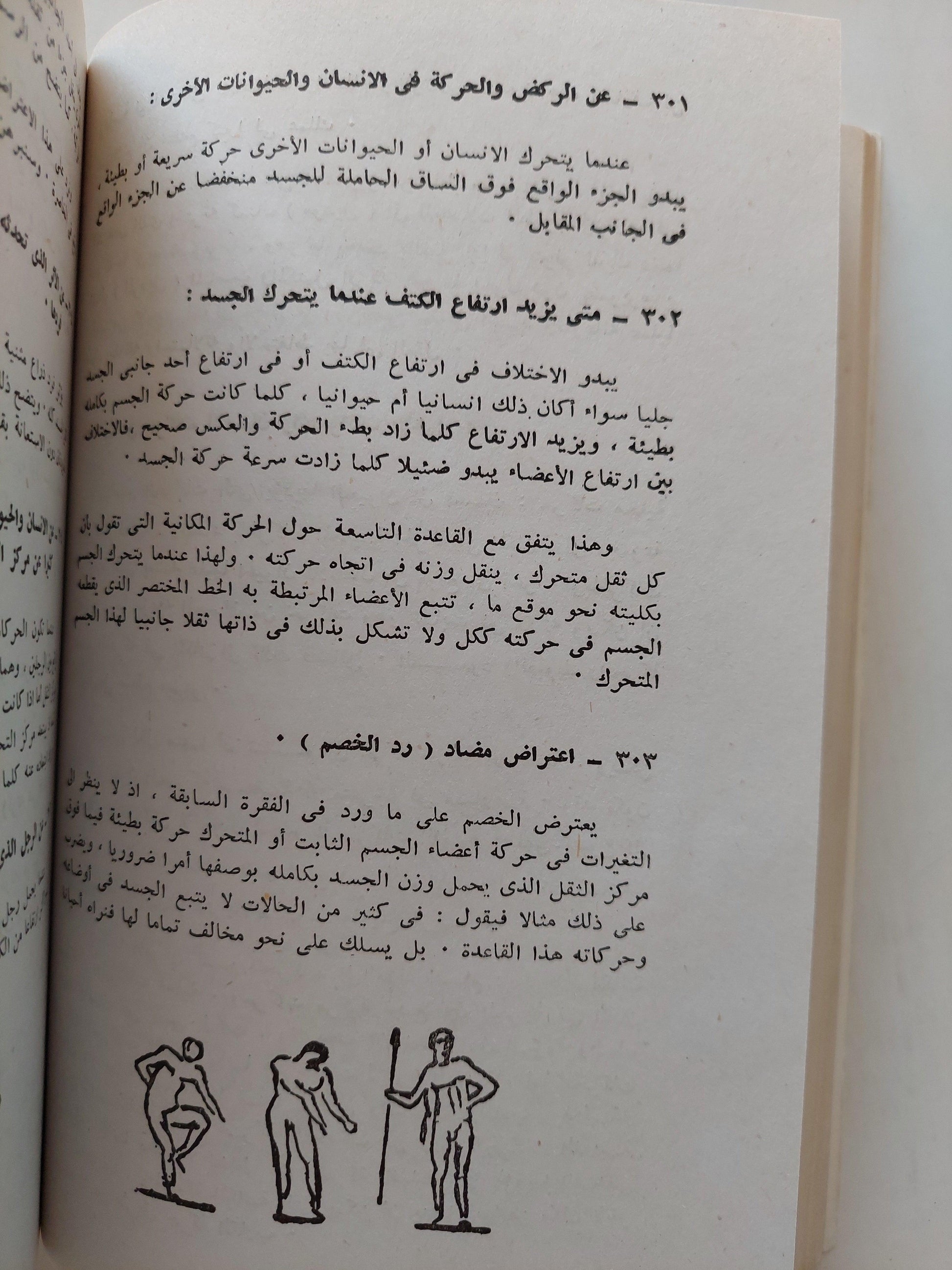 نظرية التصوير / ليوناردو دافنشي - متجر كتب مصر