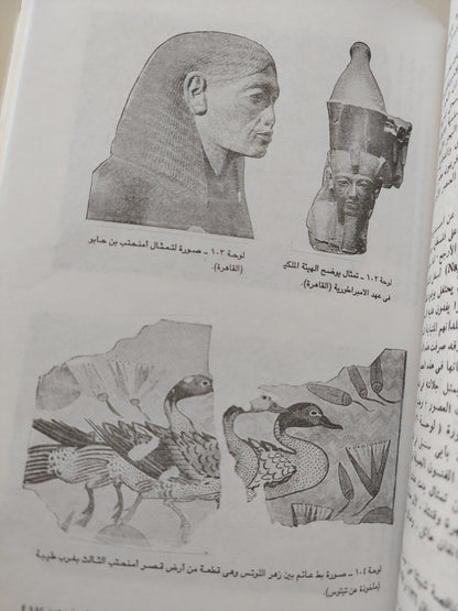 تاريخ مصر منذ أقدم العصور إلي العصر الفارسي / جيمس هنري برستد / مع ملحق خاص بالصور