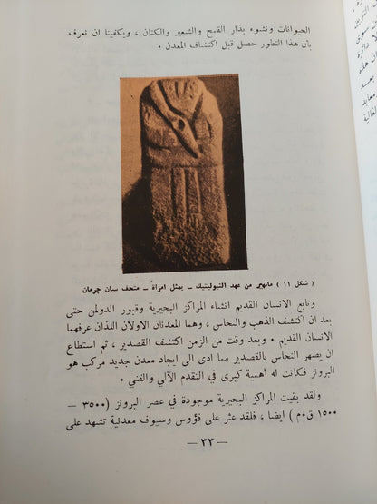 موسوعة تاريخ الفن والعمارة / د. عفيف البهنسي ( جزئين )