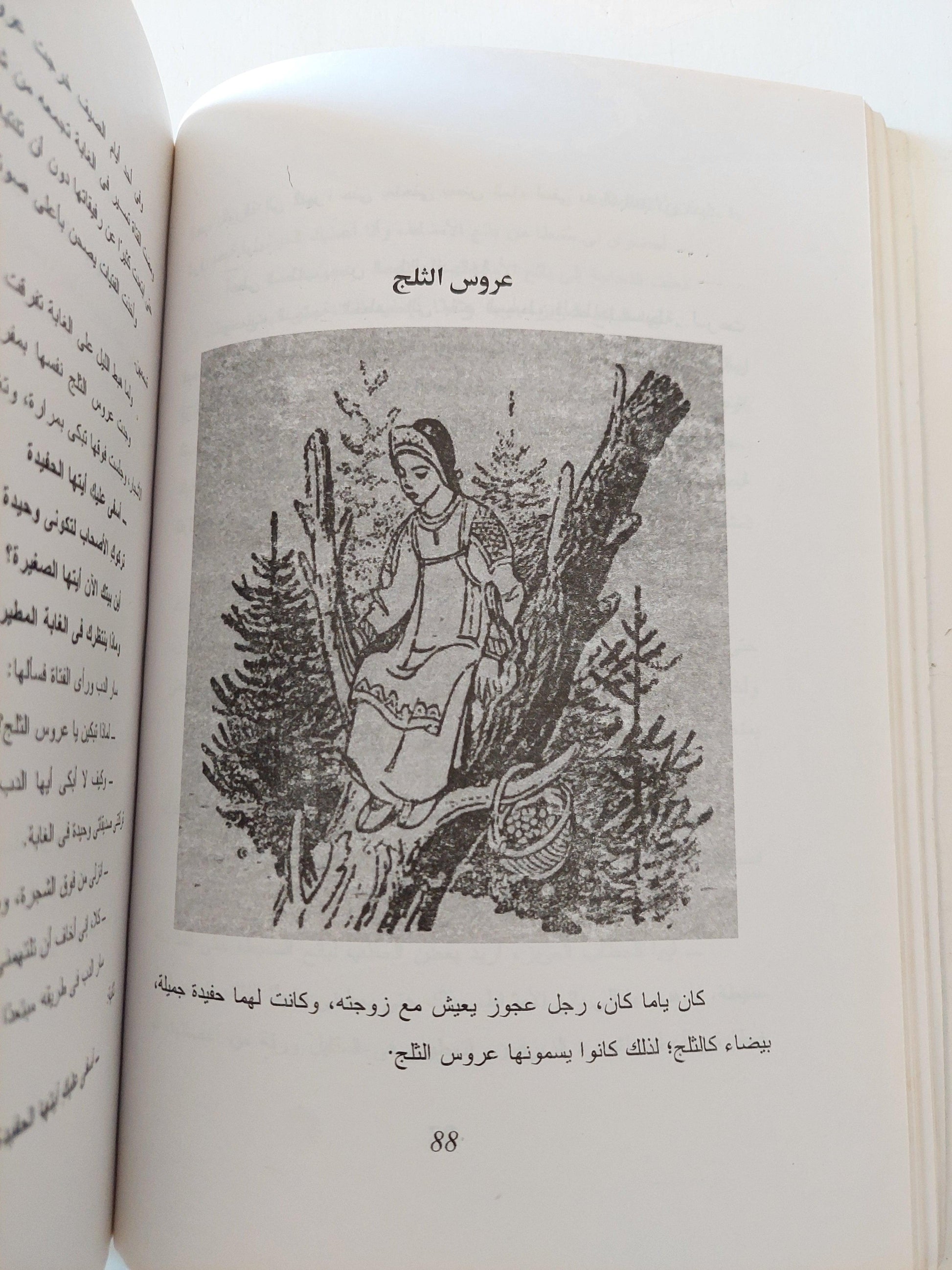 الحكايات الشعبية الروسية - متجر كتب مصر