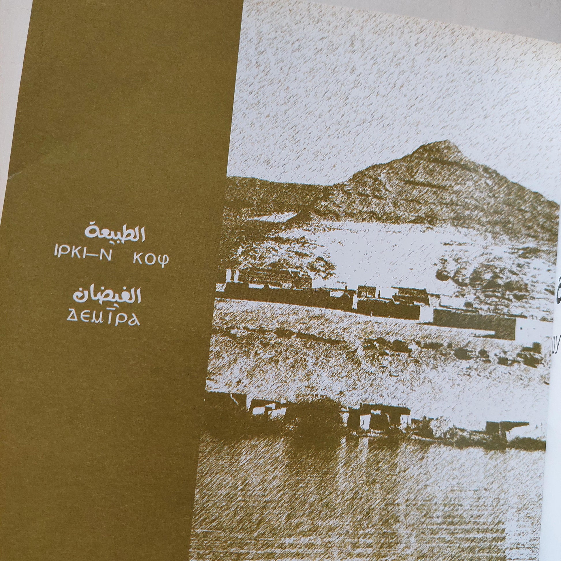 أيام نوبية : عن رحلة البروفسيرة آنا هوهينهارت / مع ملحق خاص بالصور - متجر كتب مصر