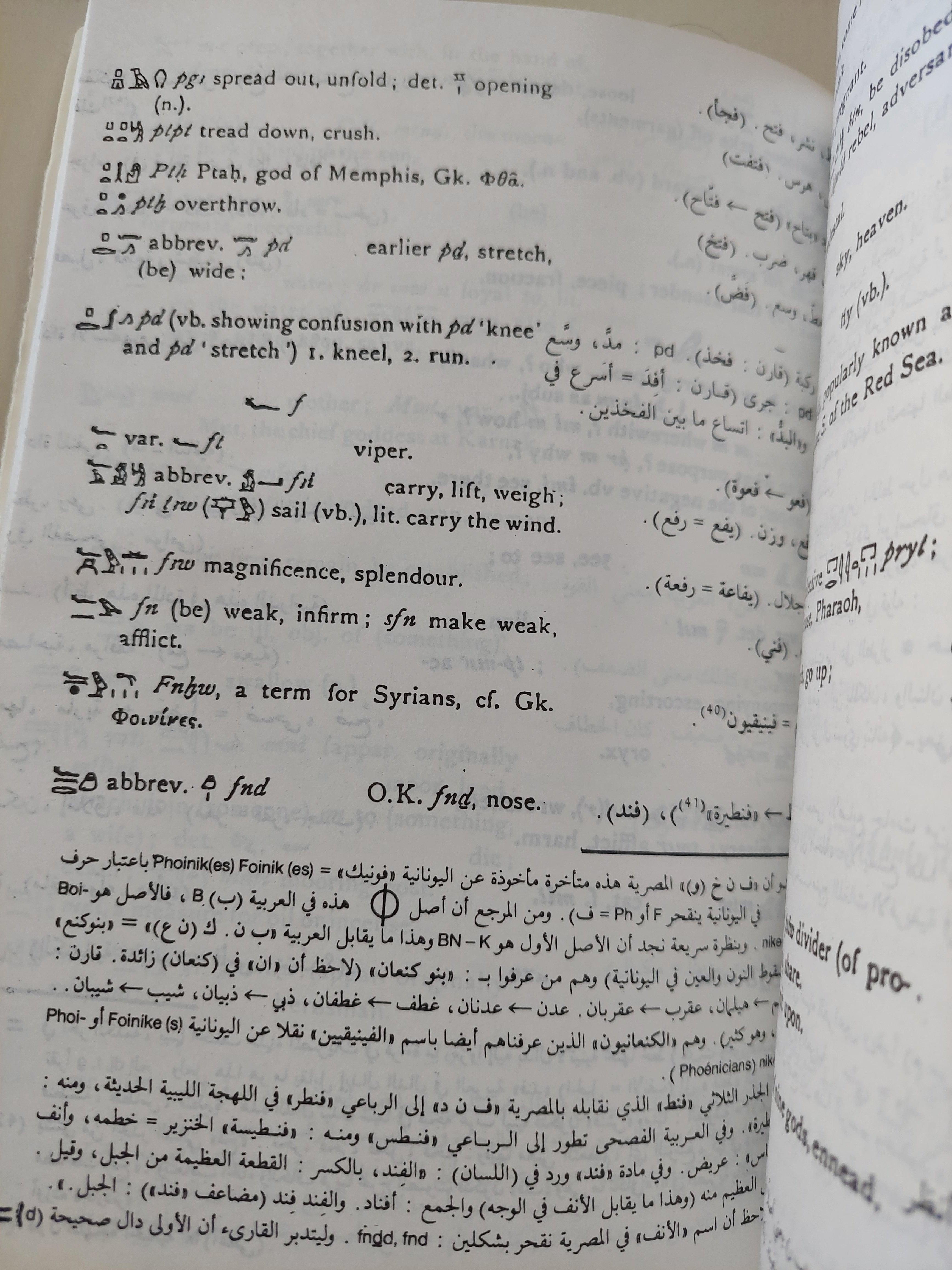 آلهة مصر العربية / جزئين - متجر كتب مصر