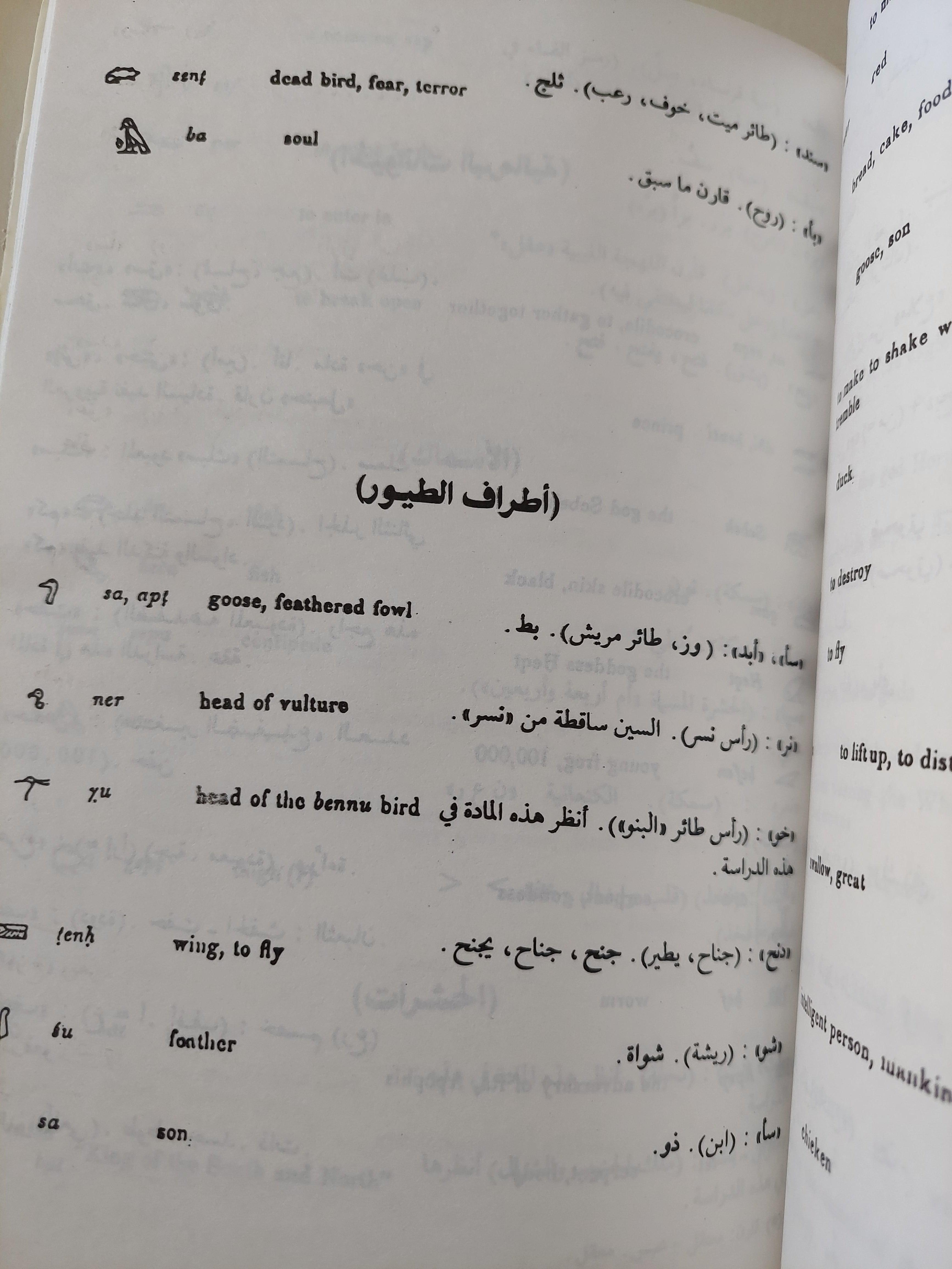 آلهة مصر العربية / جزئين - متجر كتب مصر