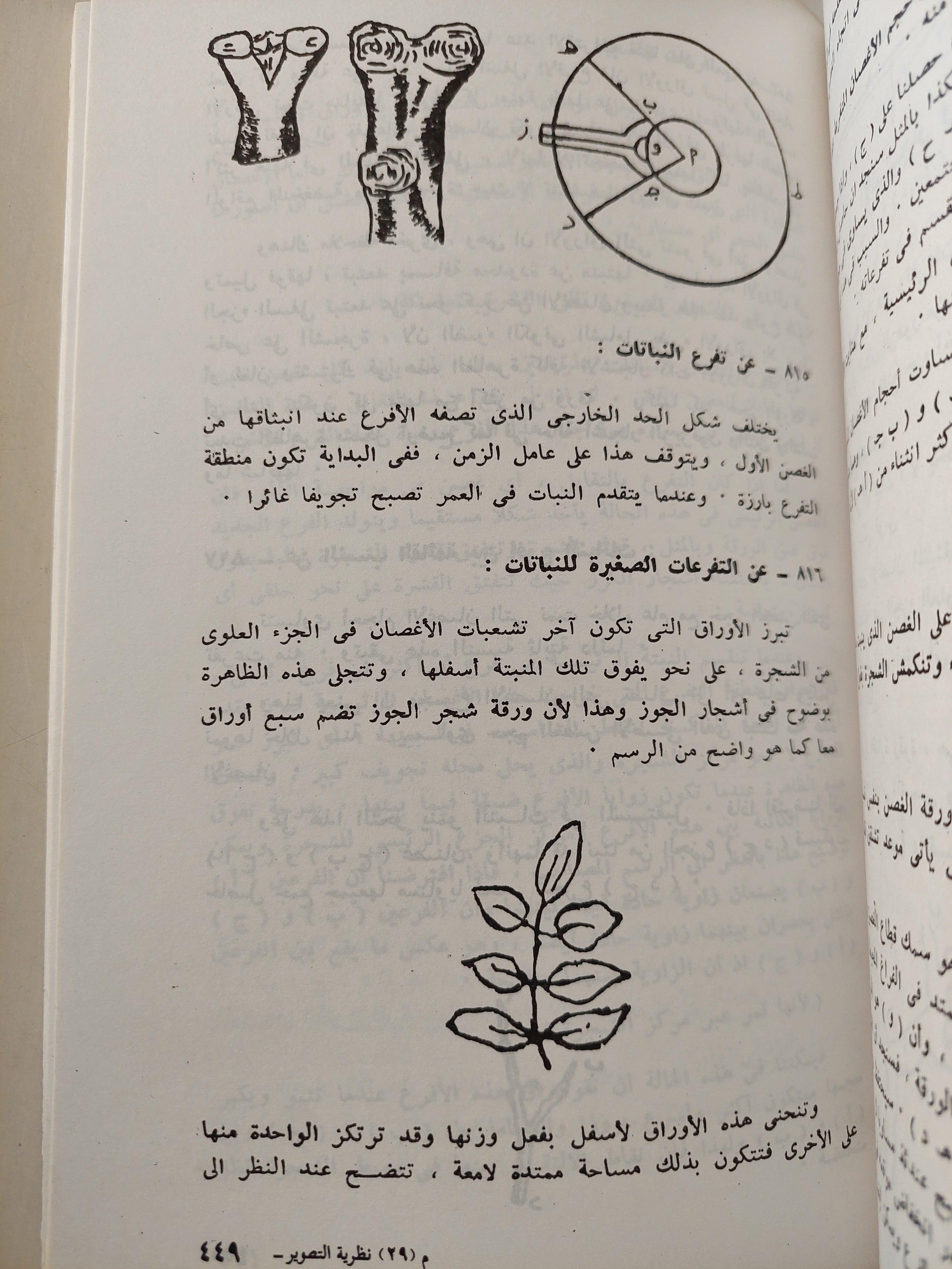 نظرية التصوير / ليوناردو دافنشي - مع ملحق خاص للصور - متجر كتب مصر