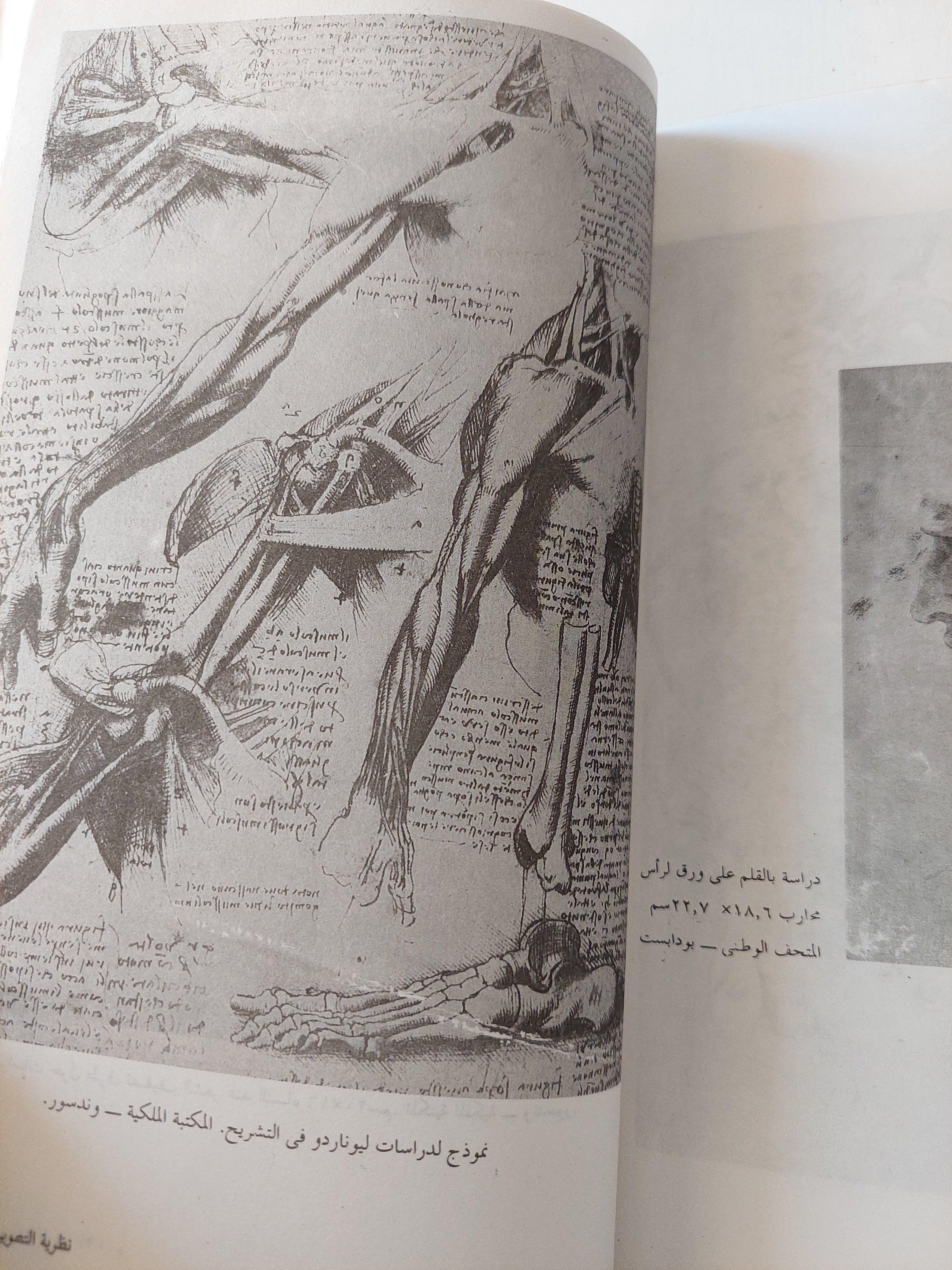 نظرية التصوير / ليوناردو دافنشي - مع ملحق خاص للصور - متجر كتب مصر