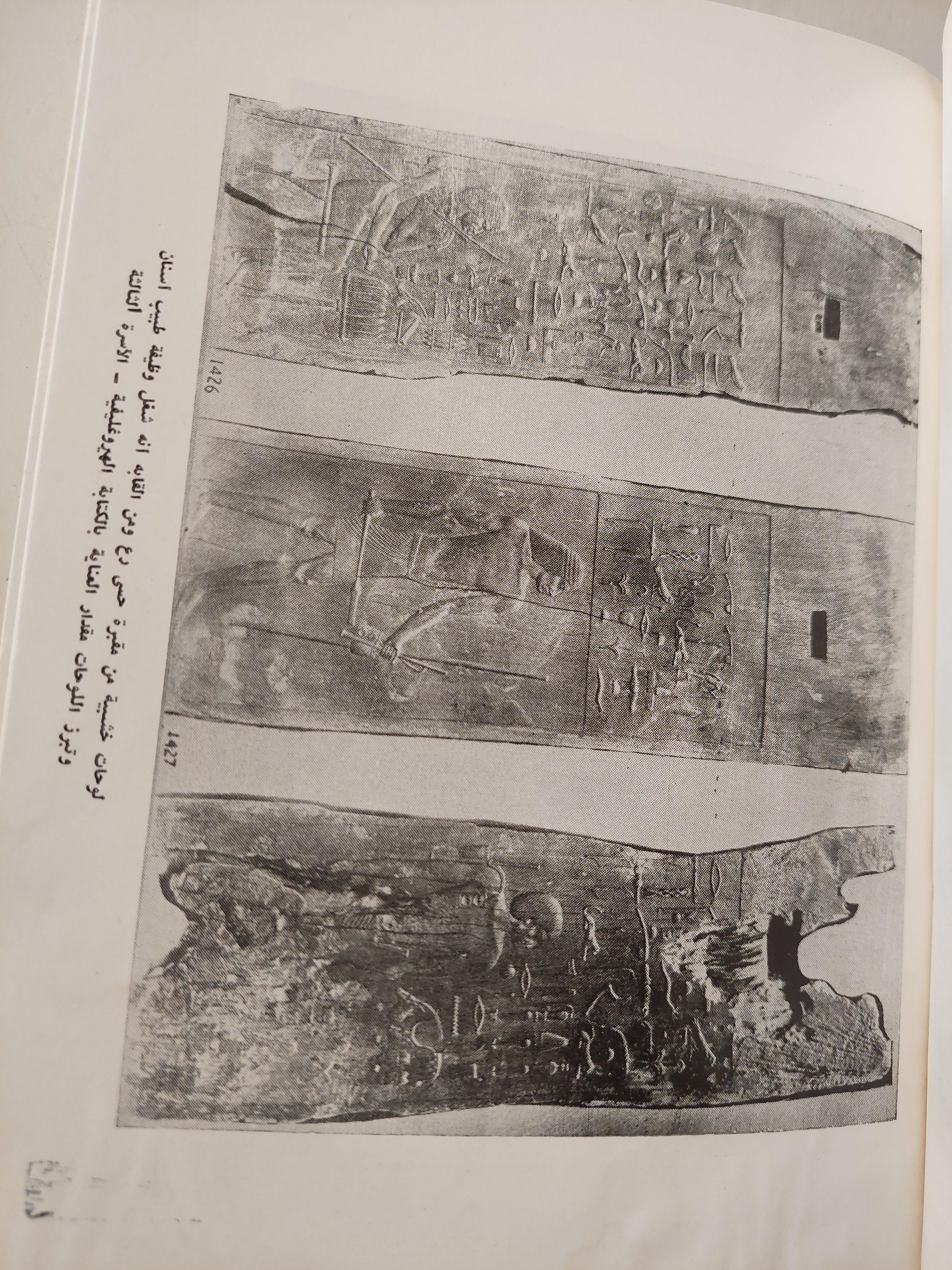 شخصية مصر / د. نعمات أحمد فؤاد / ملحق خاص للصور - متجر كتب مصر