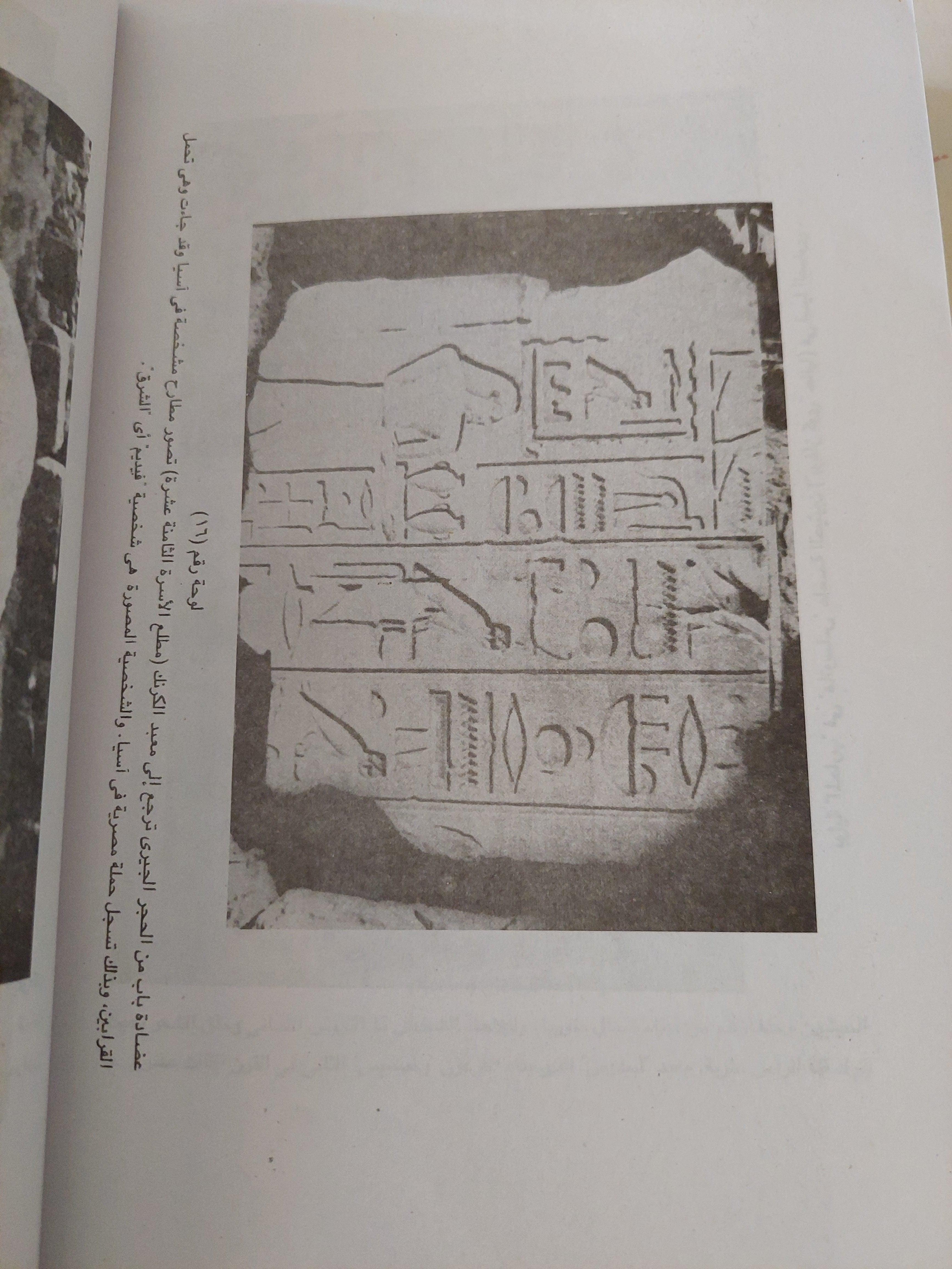 مصر وكنعان وإسرائيل في العصور القديمة / دونالد ريدفورد ( مجلد ضخم مع ملحق خاص للصور ) - متجر كتب مصر
