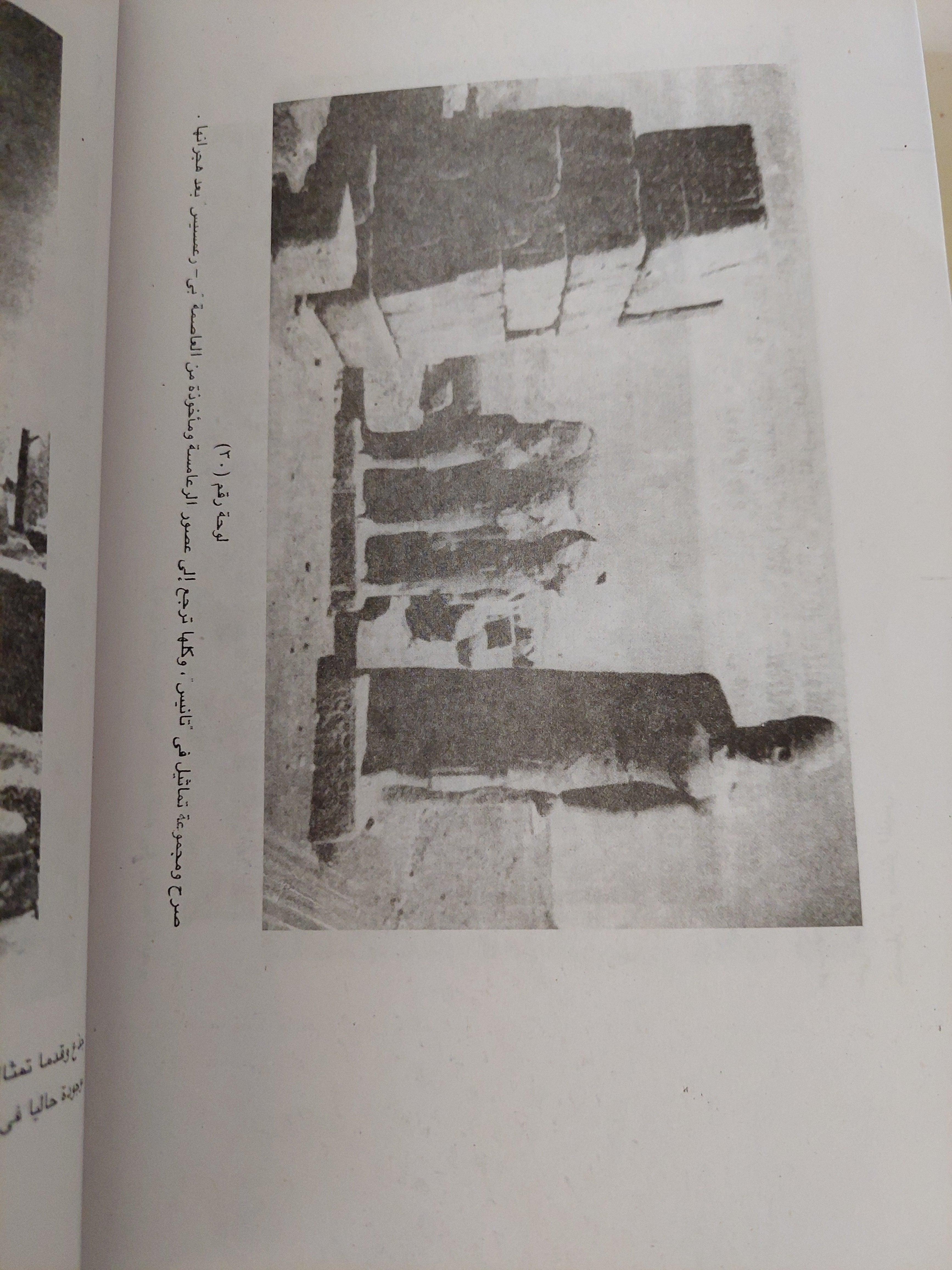 مصر وكنعان وإسرائيل في العصور القديمة / دونالد ريدفورد ( مجلد ضخم مع ملحق خاص للصور ) - متجر كتب مصر
