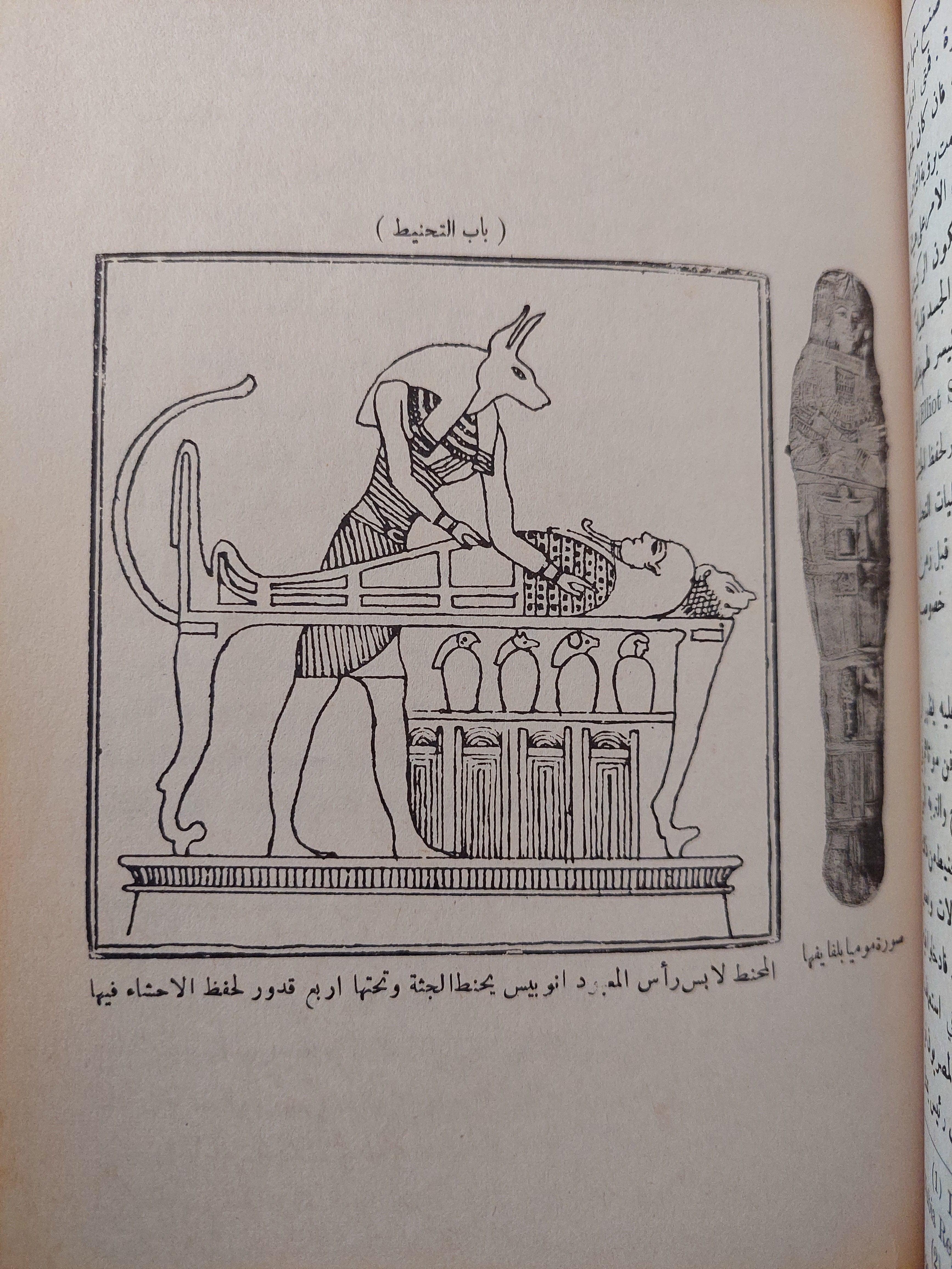 الطب المصري القديم / د. حسن كمال( ملحق بالصور ) - متجر كتب مصر