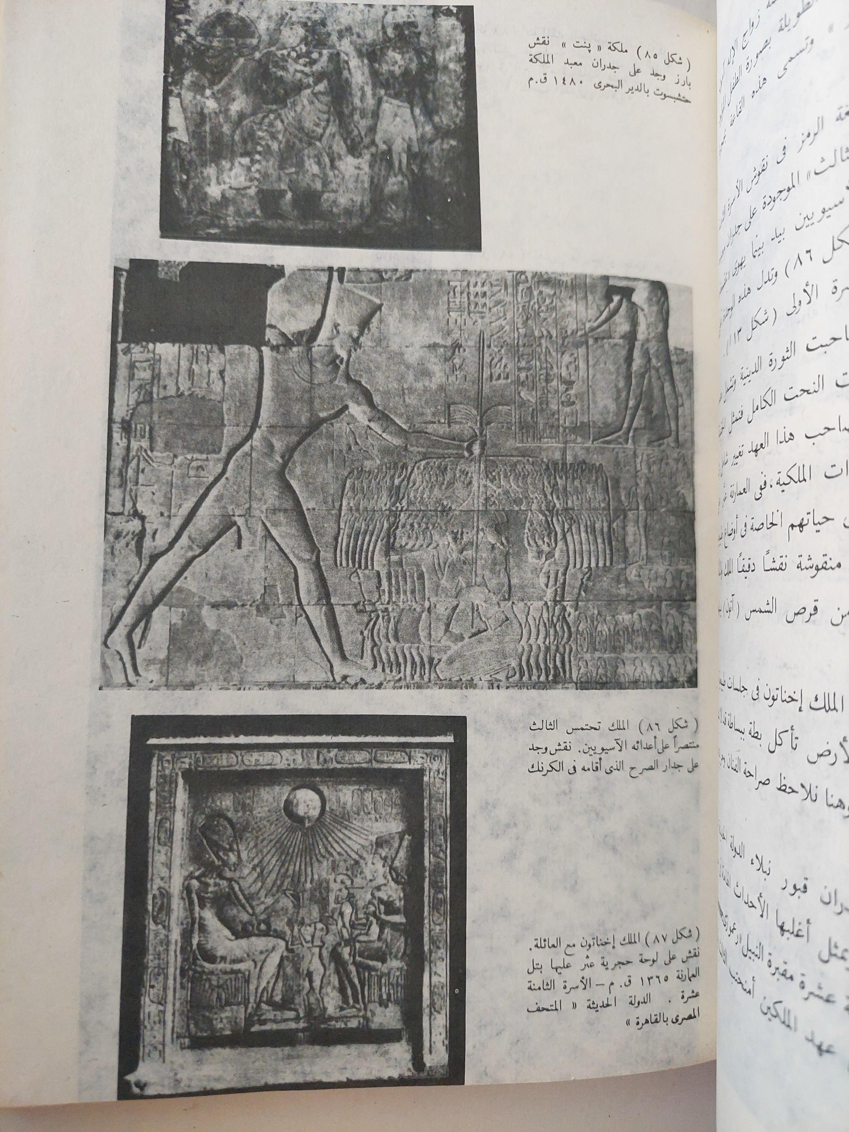 فنون الشرق الأوسط والعالم القديم / ملحق خاص بالصور - متجر كتب مصر