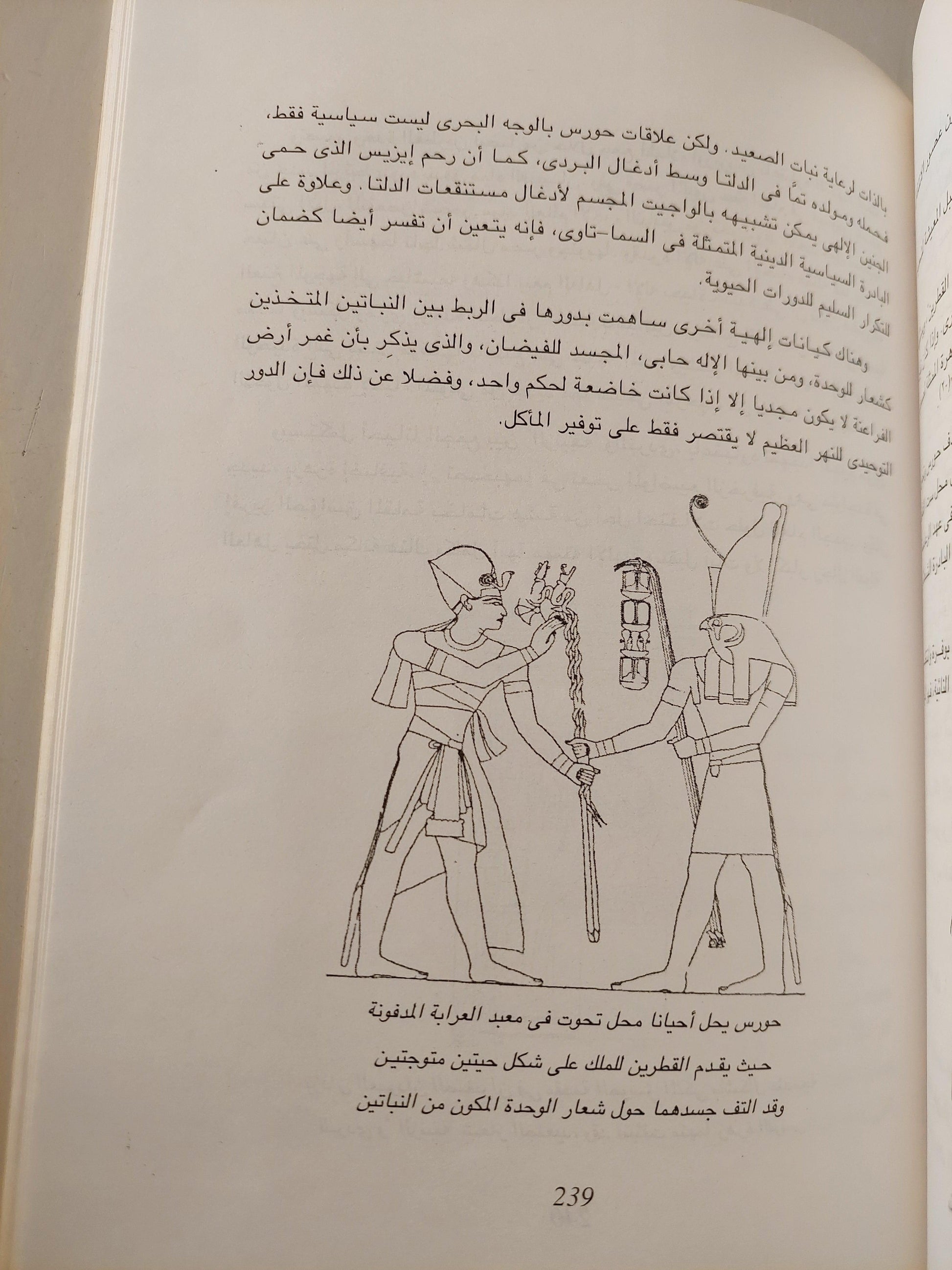 أساطير وآلهة ( نفثات رع إله الشمس ) - متجر كتب مصر