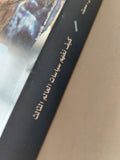 كيف نفهم سياسات العالم الثالث : نظريات التغيير السياسي والتنمية - متجر كتب مصر