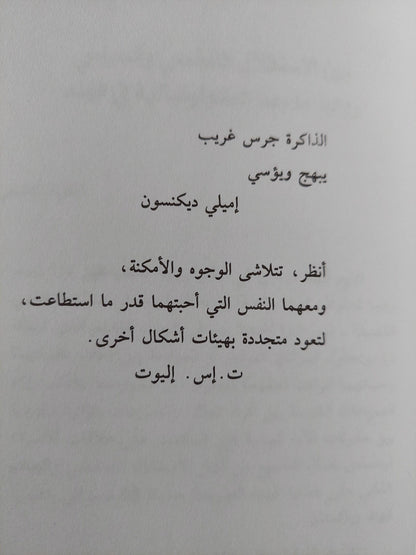 ضوء نهار مشرق / أنيتا ديساي - متجر كتب مصر