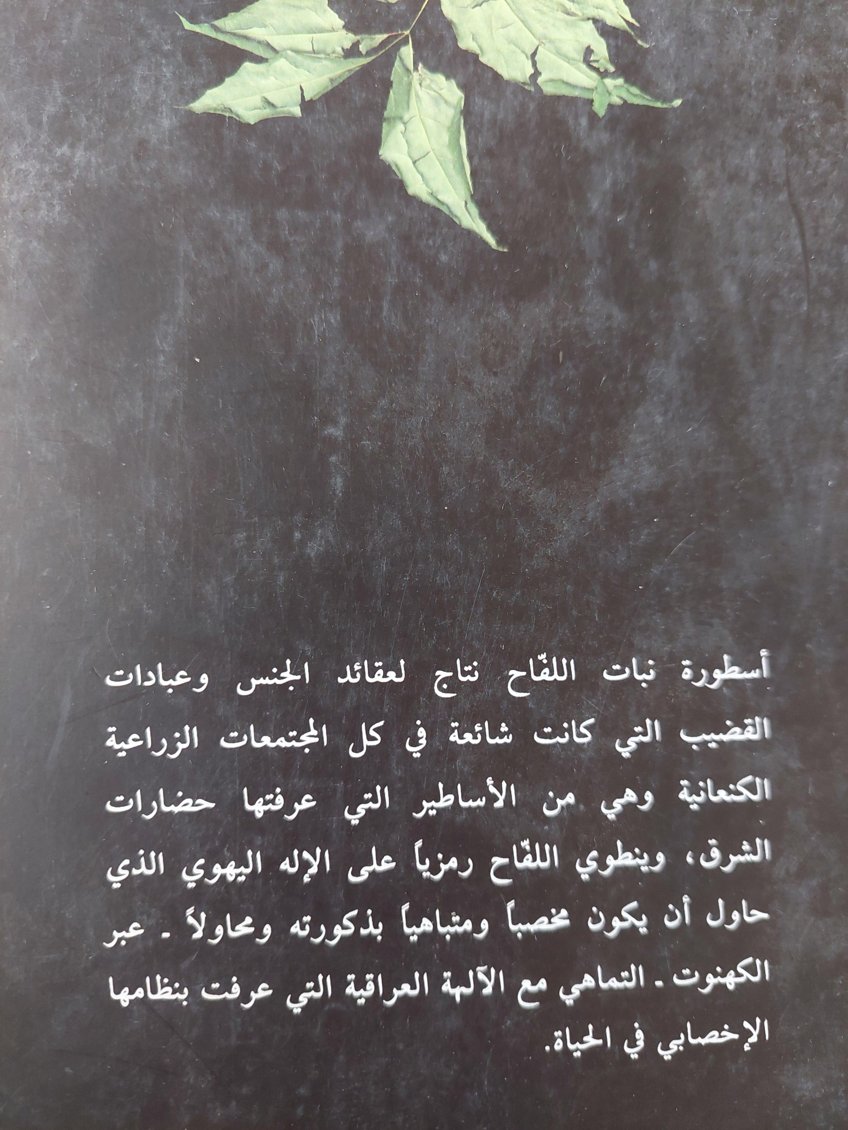 تأويل النص التوراتي : أسطورة نبات اللفاح وعقائد الانبعاث الكنعاني / ناجح المعموري ط1 - متجر كتب مصر