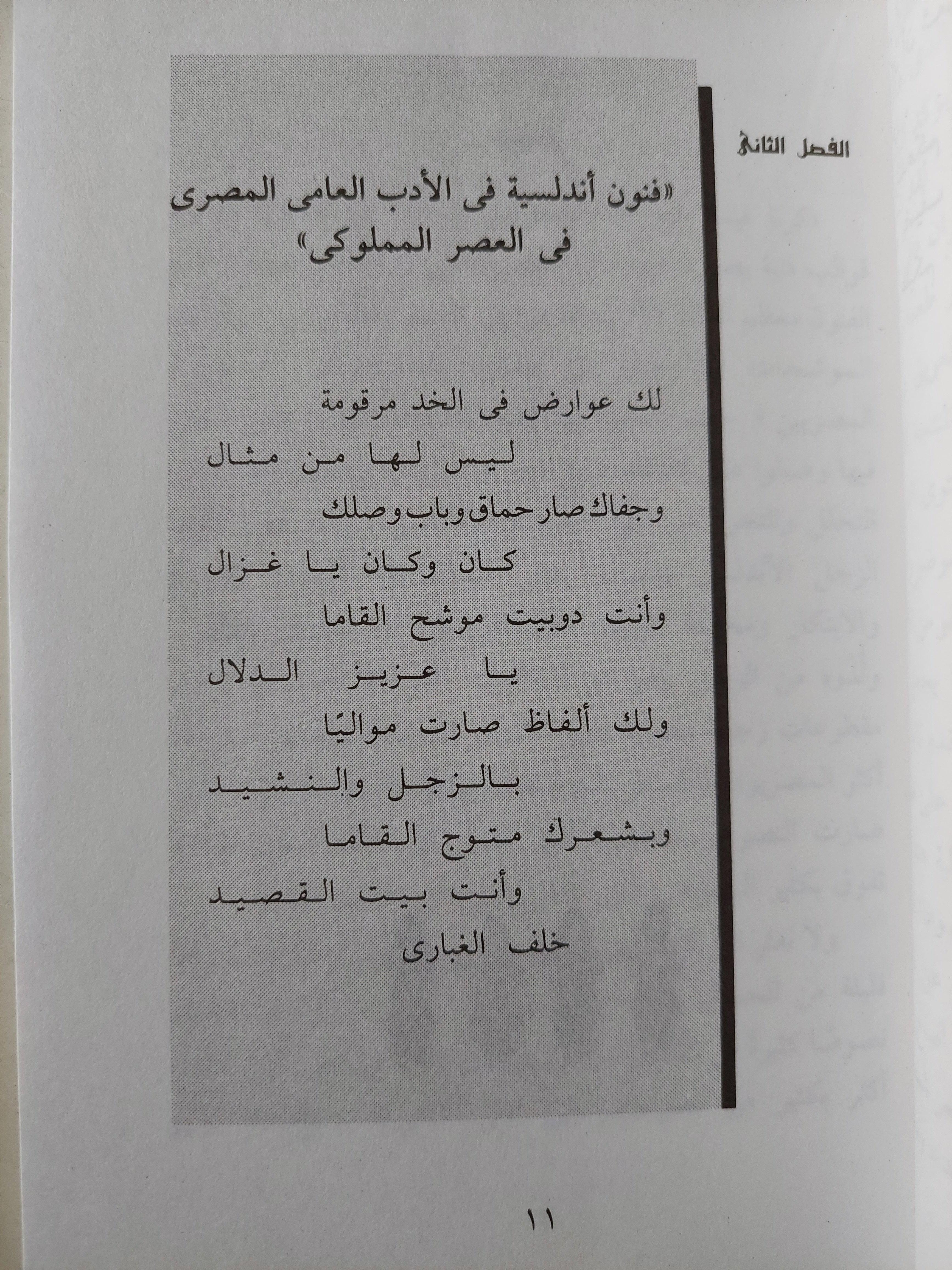 فنون أندلسية في الأدب العامي المملوكي / جزئين - متجر كتب مصر