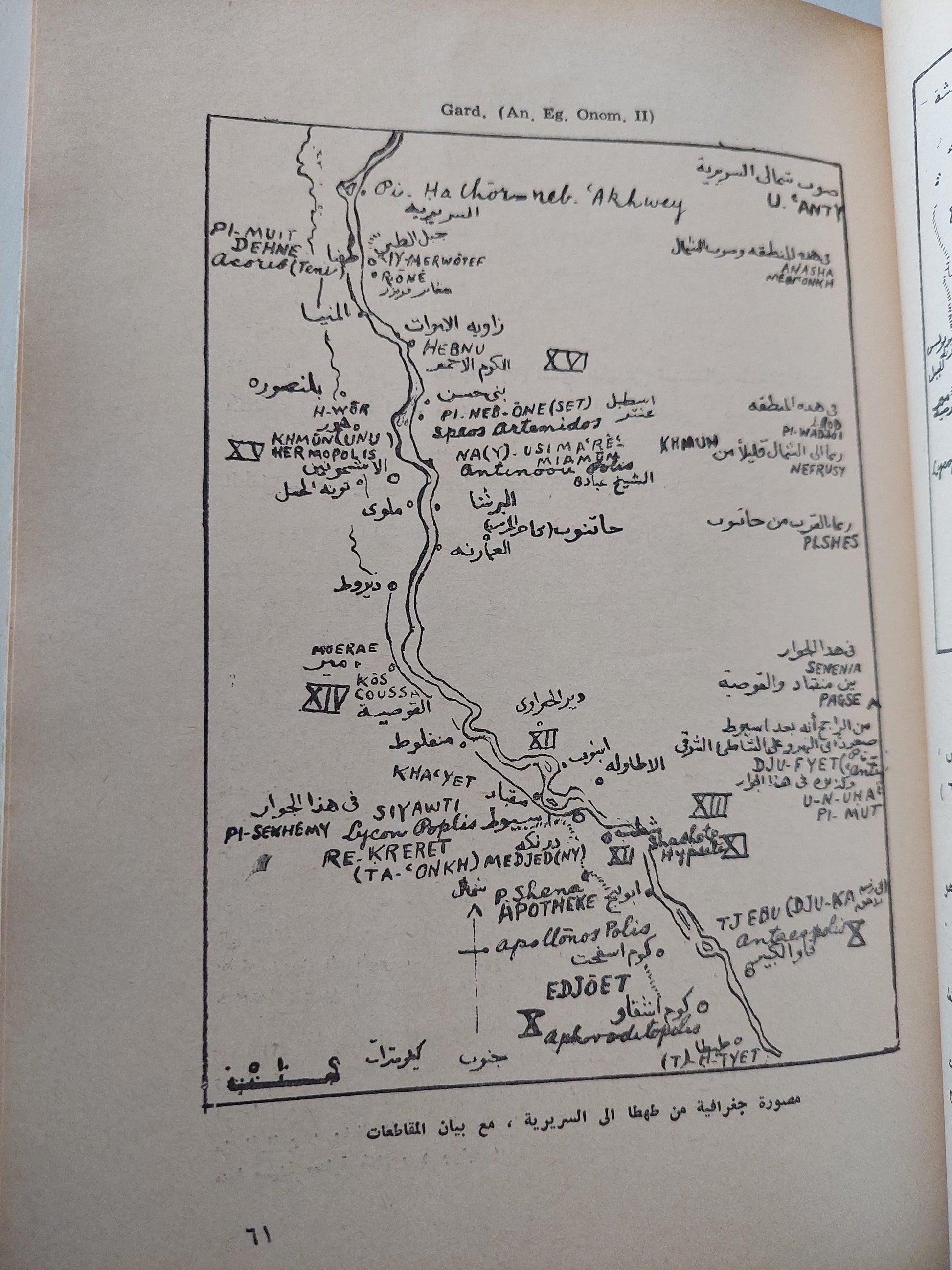 آلهة مصر - متجر كتب مصر