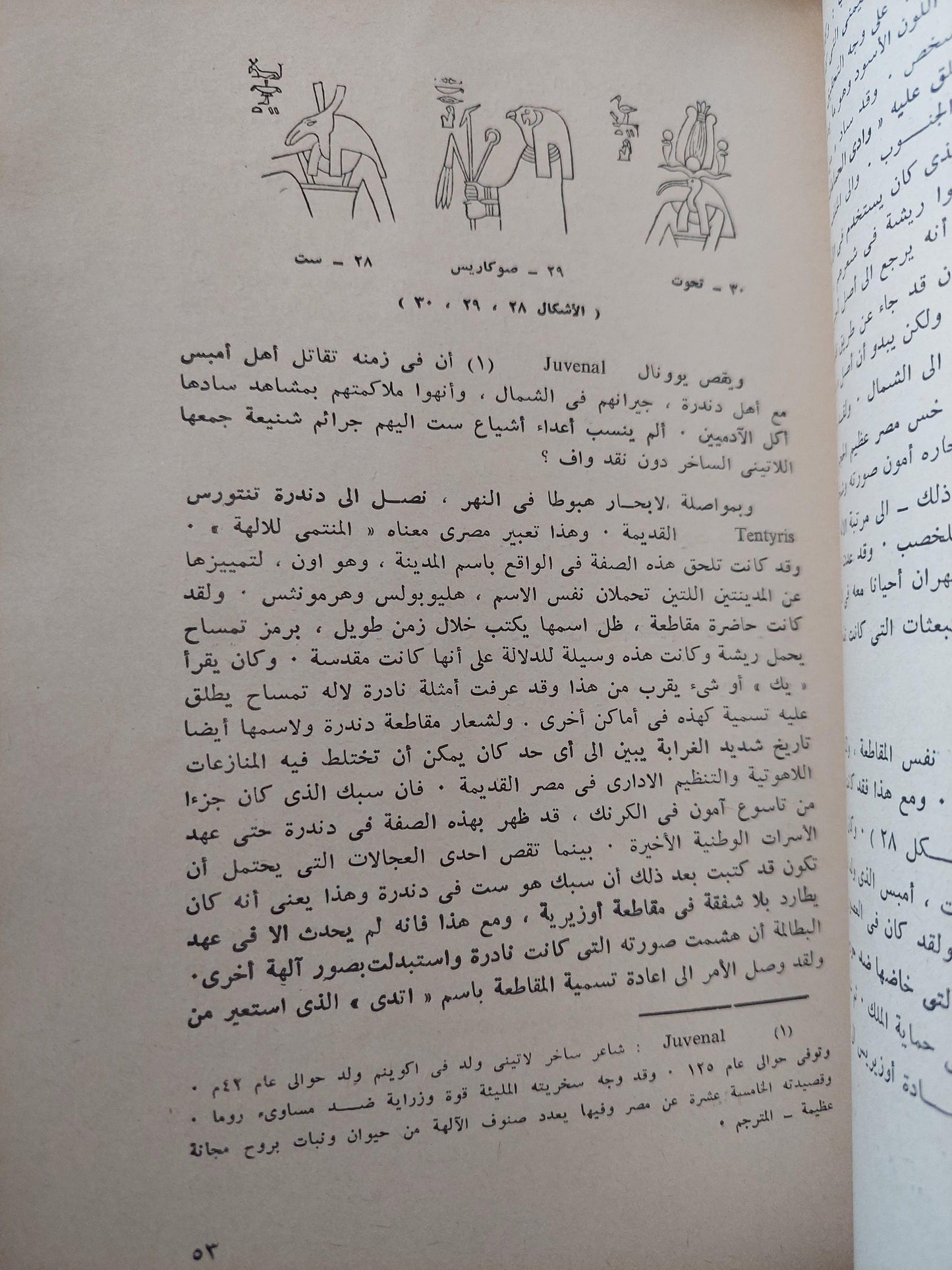 آلهة مصر - متجر كتب مصر