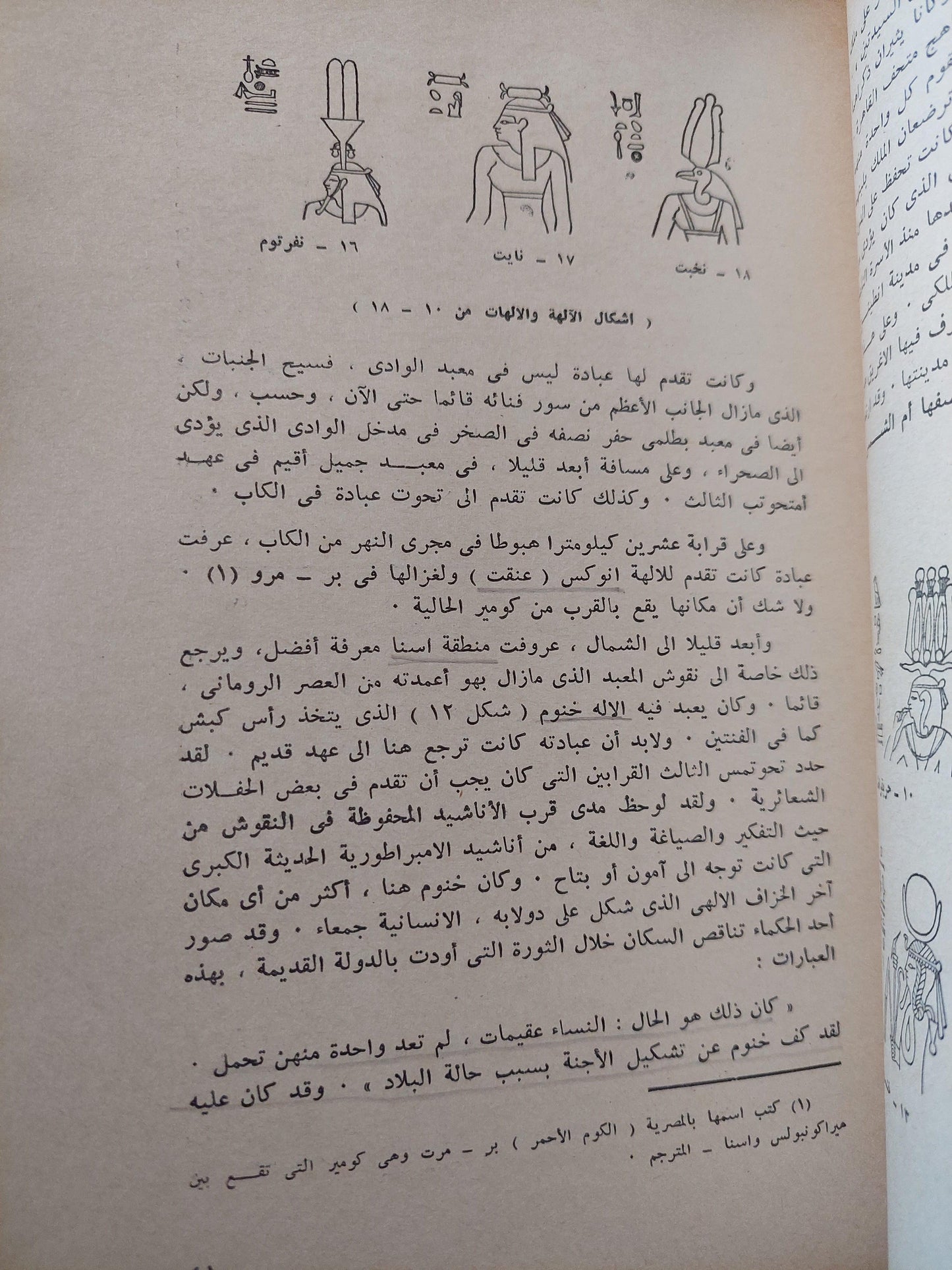 آلهة مصر - متجر كتب مصر