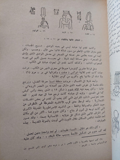 آلهة مصر - متجر كتب مصر