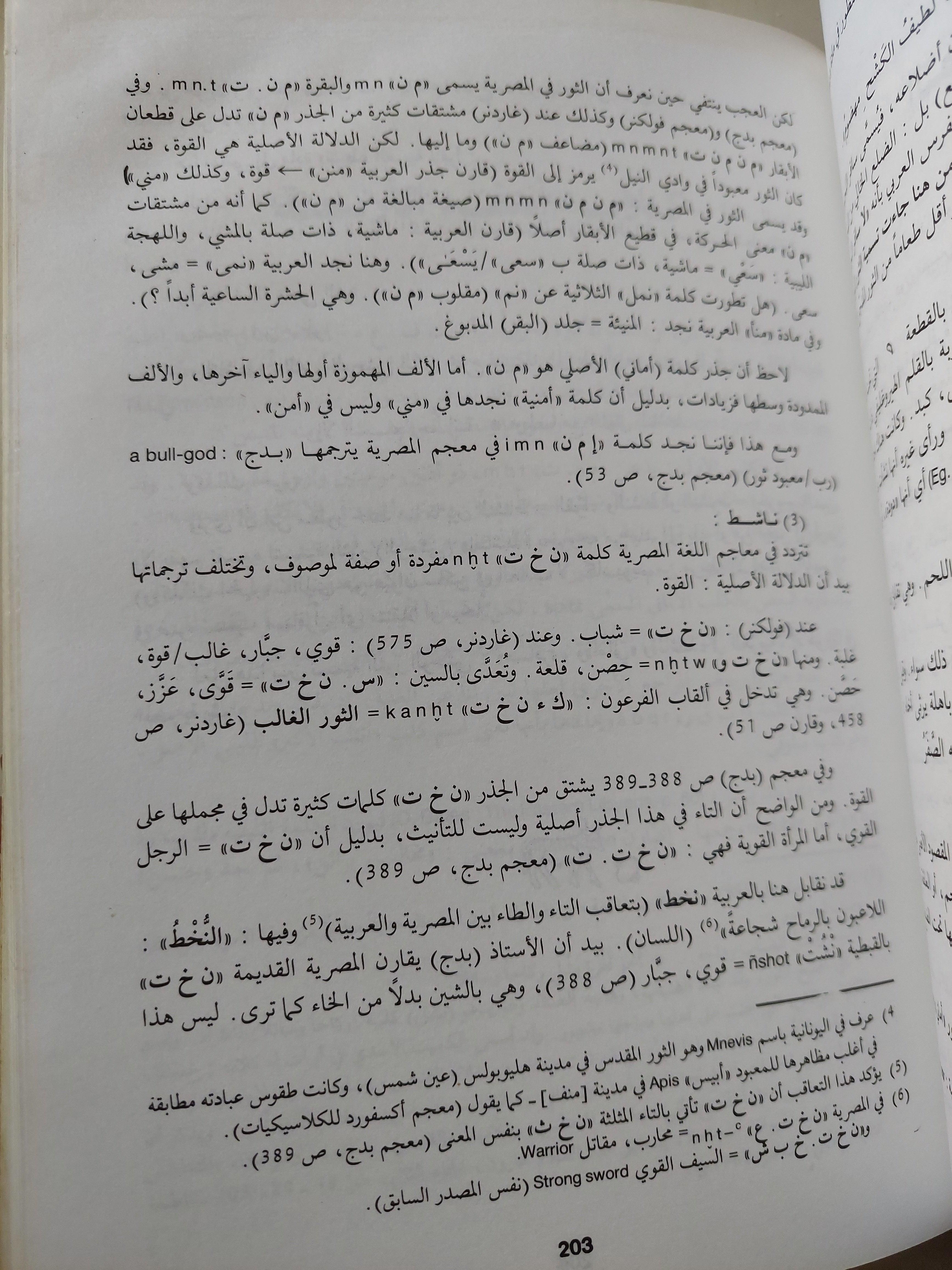 آلهة مصر العربية / جزئين ط١ - متجر كتب مصر