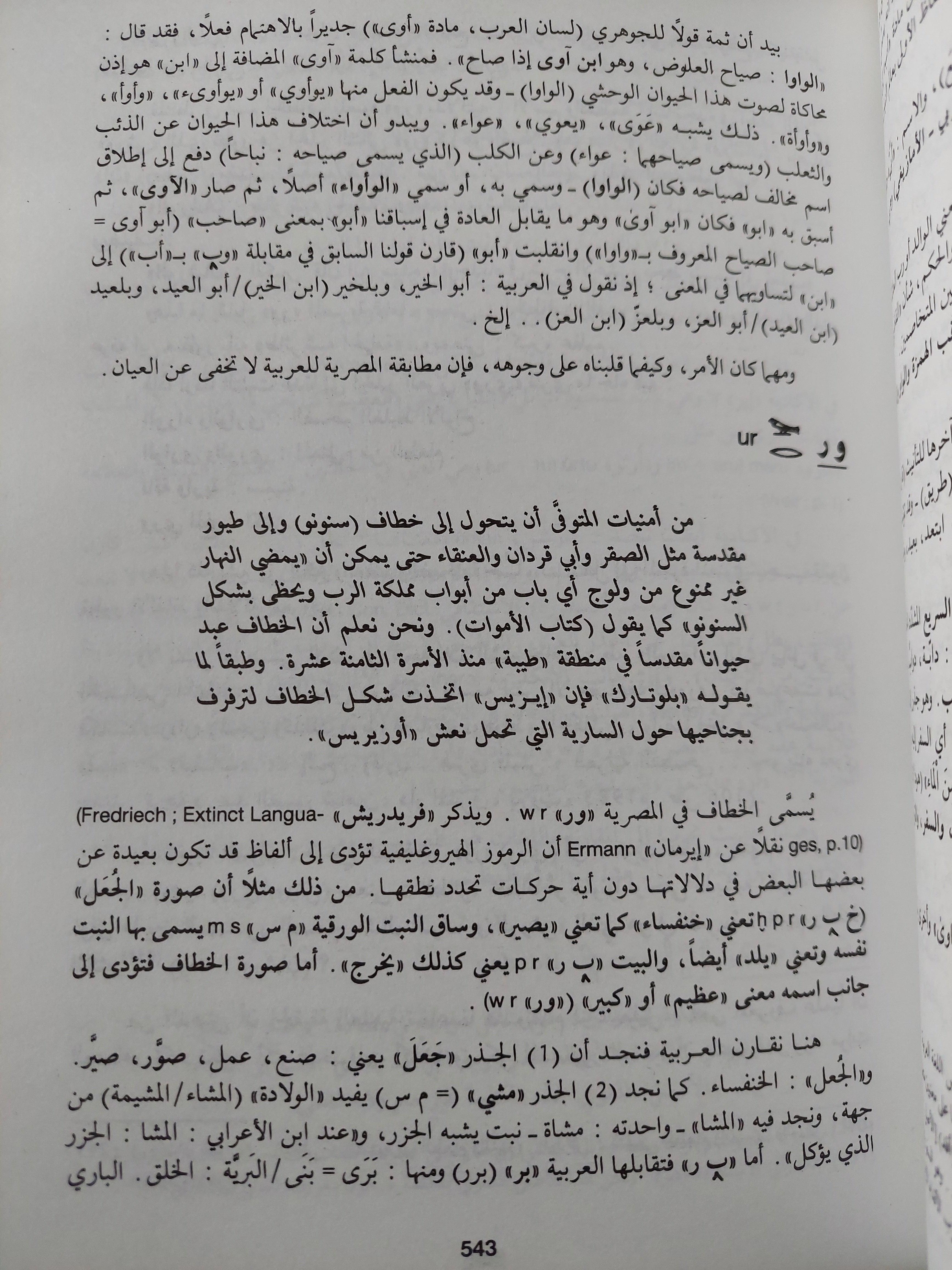 آلهة مصر العربية / جزئين ط١ - متجر كتب مصر