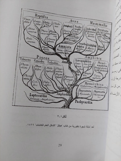 مسارات التطور في الطبيعة من منظور التصنيف التطوري الجيني - متجر كتب مصر