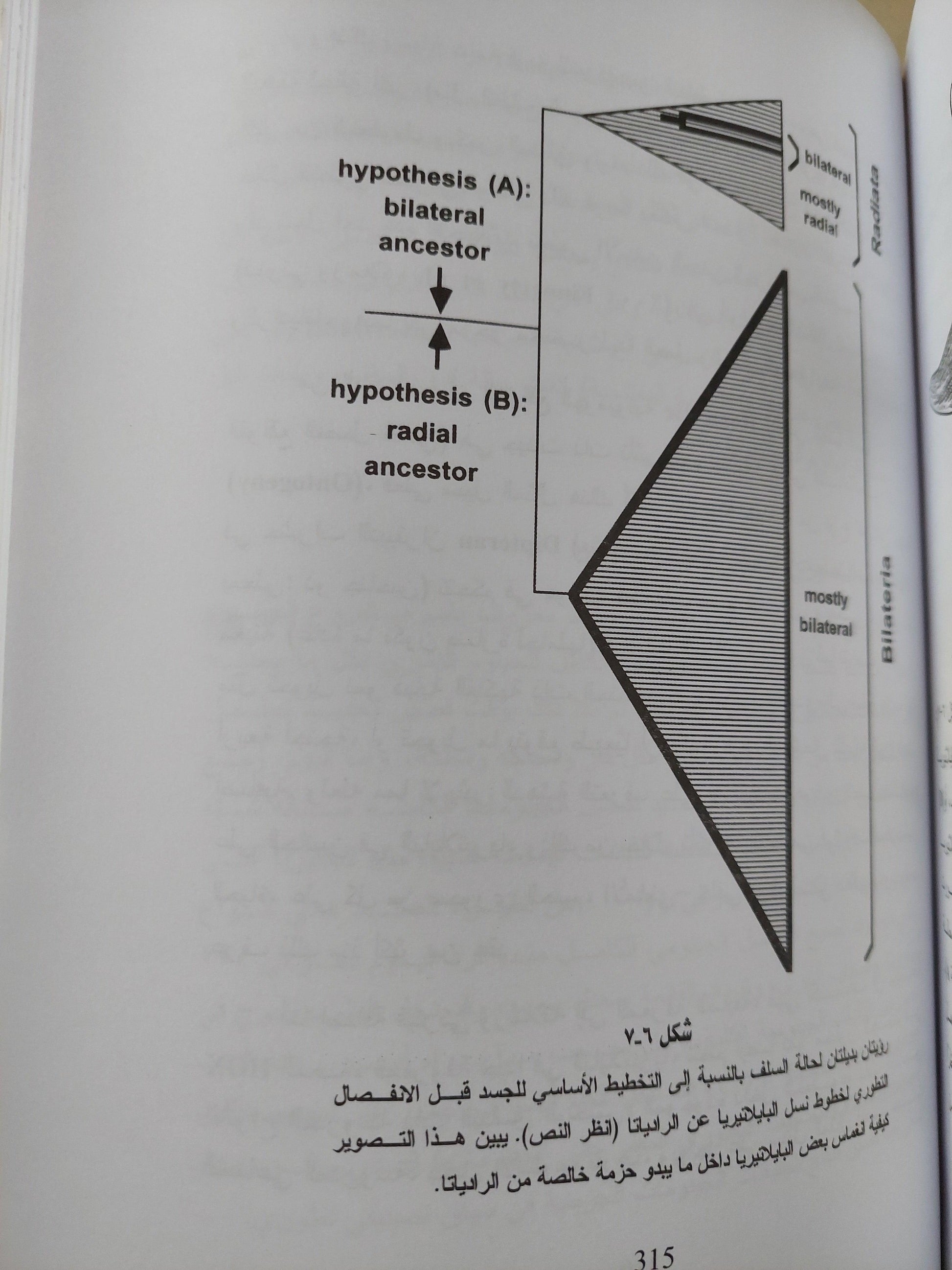 مسارات التطور في الطبيعة من منظور التصنيف التطوري الجيني - متجر كتب مصر