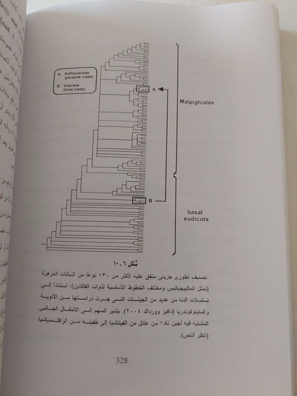 مسارات التطور في الطبيعة من منظور التصنيف التطوري الجيني - متجر كتب مصر