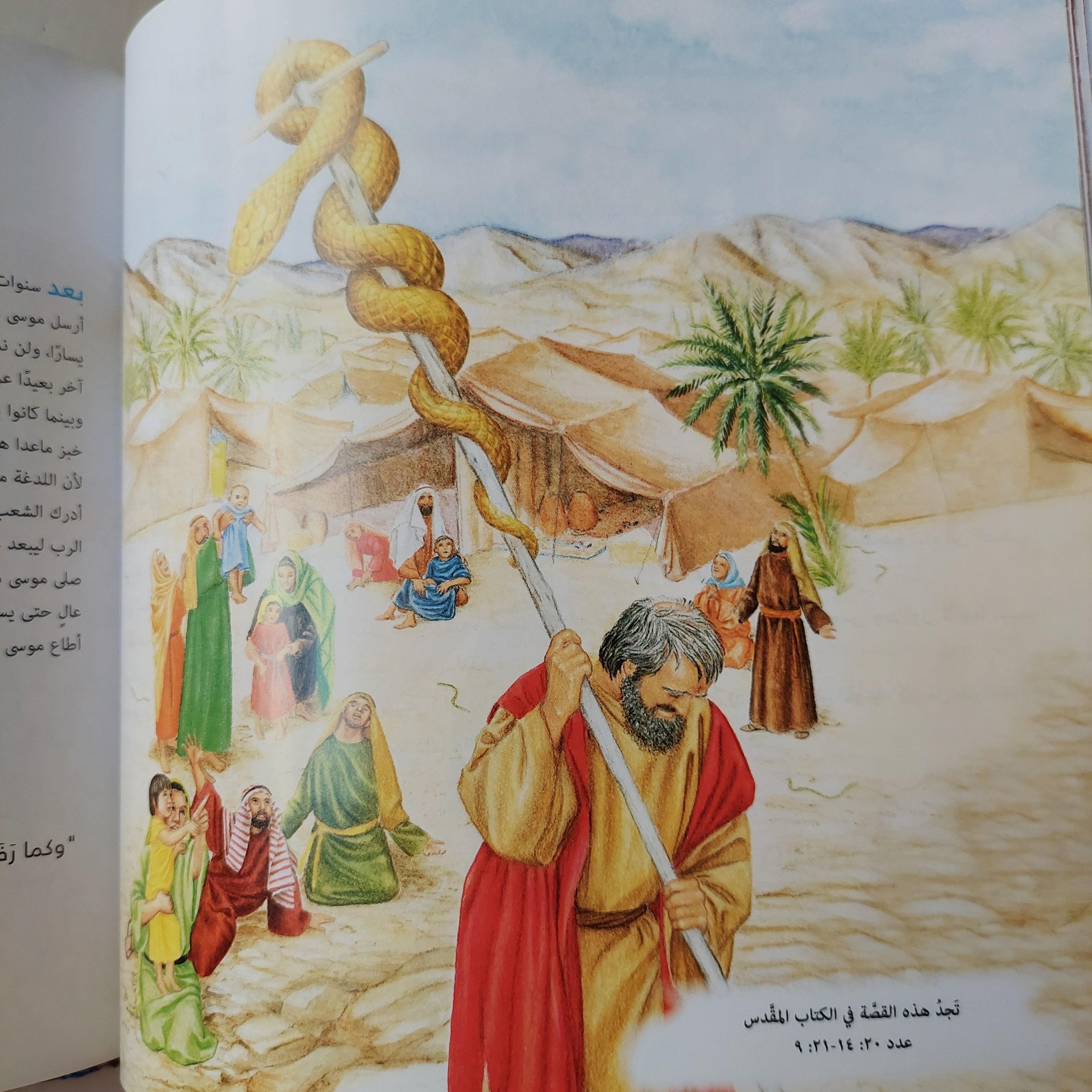 قصص مختارة من الكتاب المقدس - متجر كتب مصر