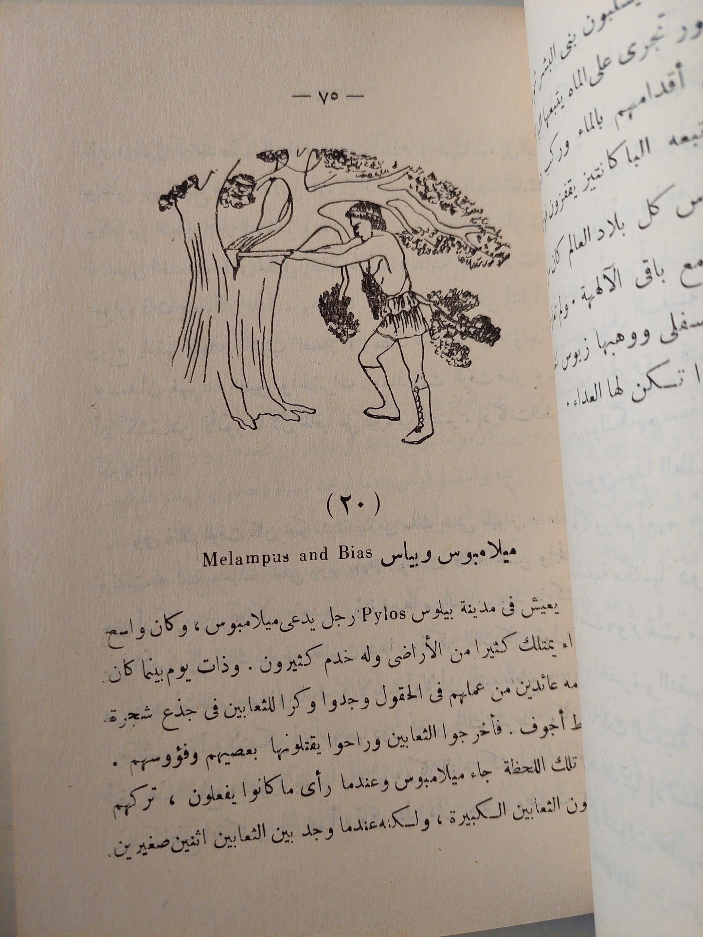 قصص من اليونان القديمة / بيتر لن - متجر كتب مصر