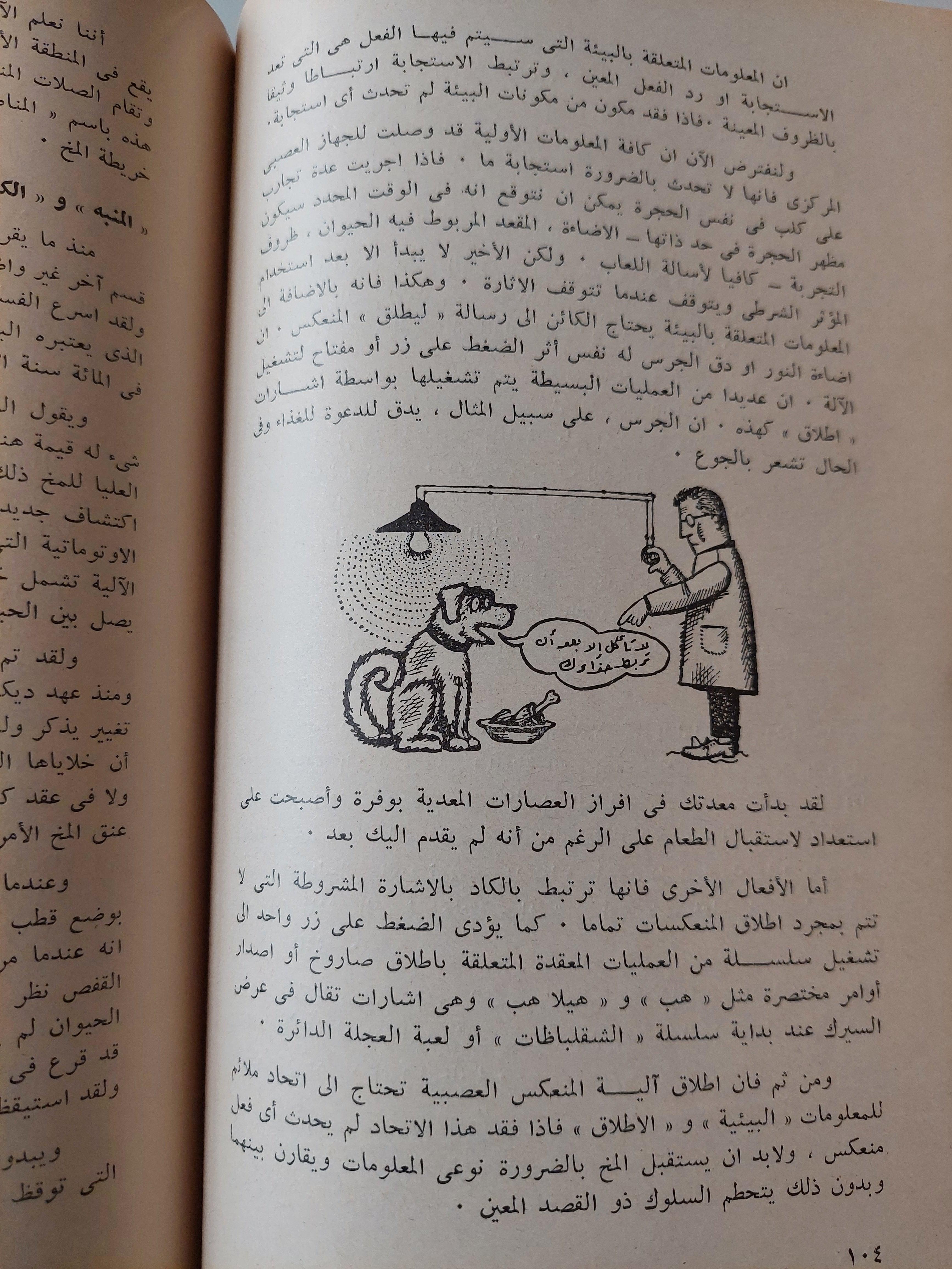 بين الإنسان والآلة : السيبرناطيقا في داخلنا / إيلينا سابارينا - متجر كتب مصر