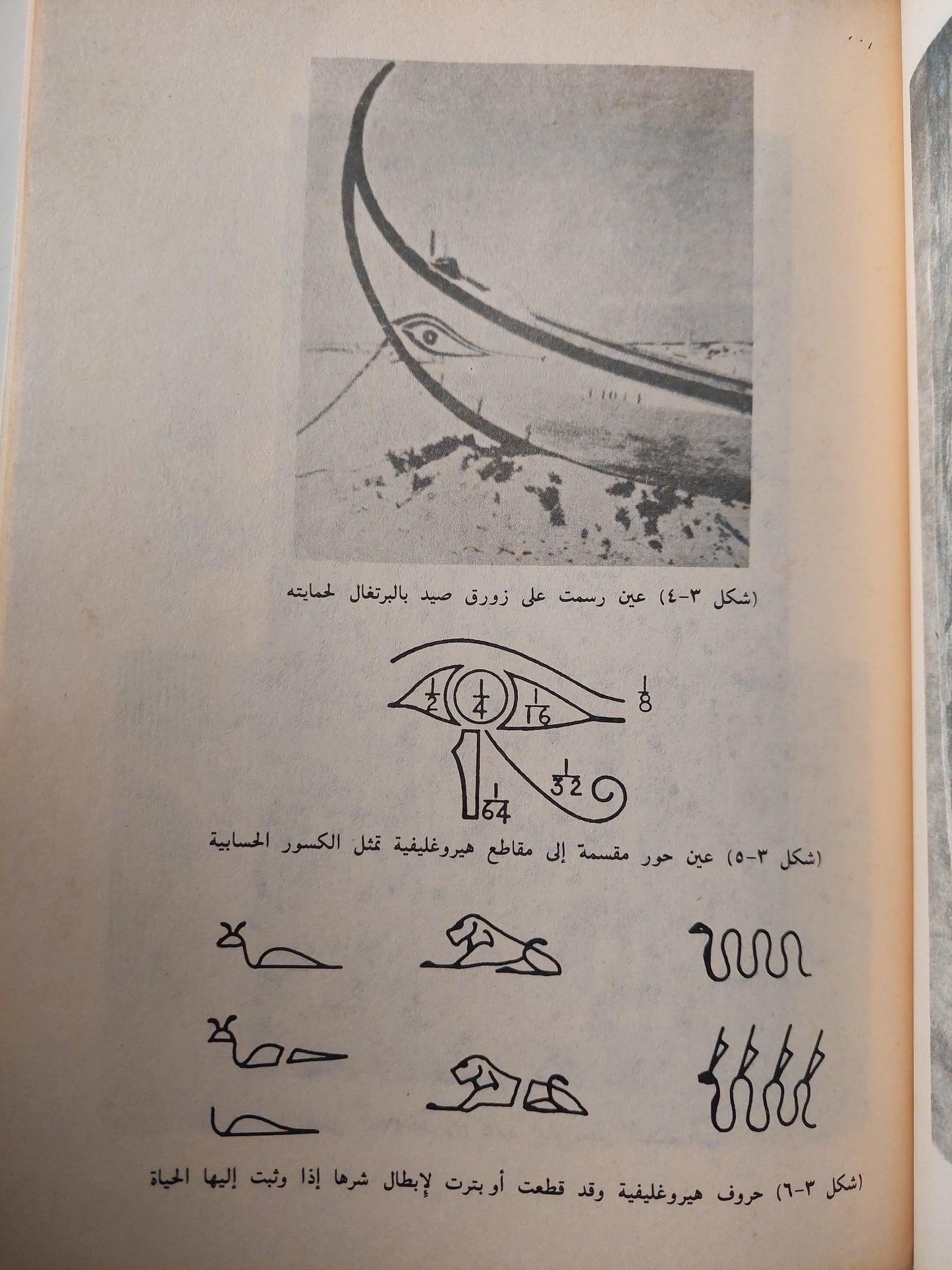 قطوف من تاريخ الطب / د. بول غليونجي ( ملحق بالصور ) - متجر كتب مصر