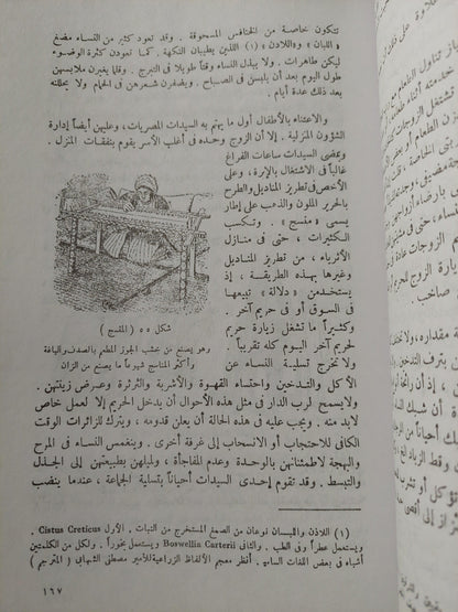 المصريون المحدثون .. شمائلهم وعاداتهم⁩ ( ملحق بالرسومات ) - متجر كتب مصر