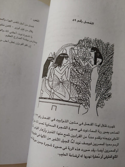 الخروج في النهار : كتاب الموتي ( ملحق بالصور ) - متجر كتب مصر