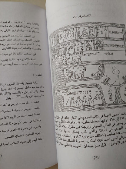 الخروج في النهار : كتاب الموتي ( ملحق بالصور ) - متجر كتب مصر