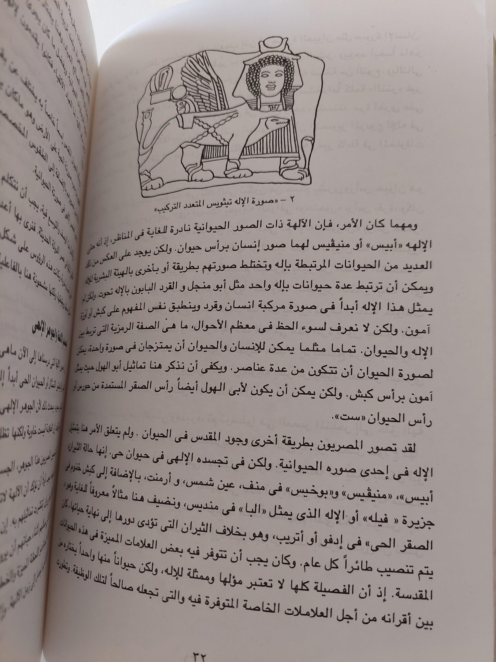 الآلهة والناس في مصر من 3000 قبل الميلاد إلي 395 ميلاديا - متجر كتب مصر