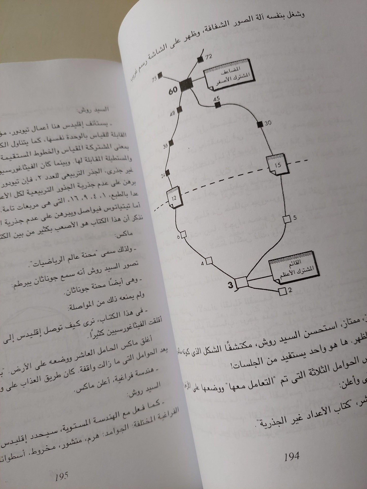 نظرية الببغاء - دنيس جيدج / مجلد ضخم - متجر كتب مصر