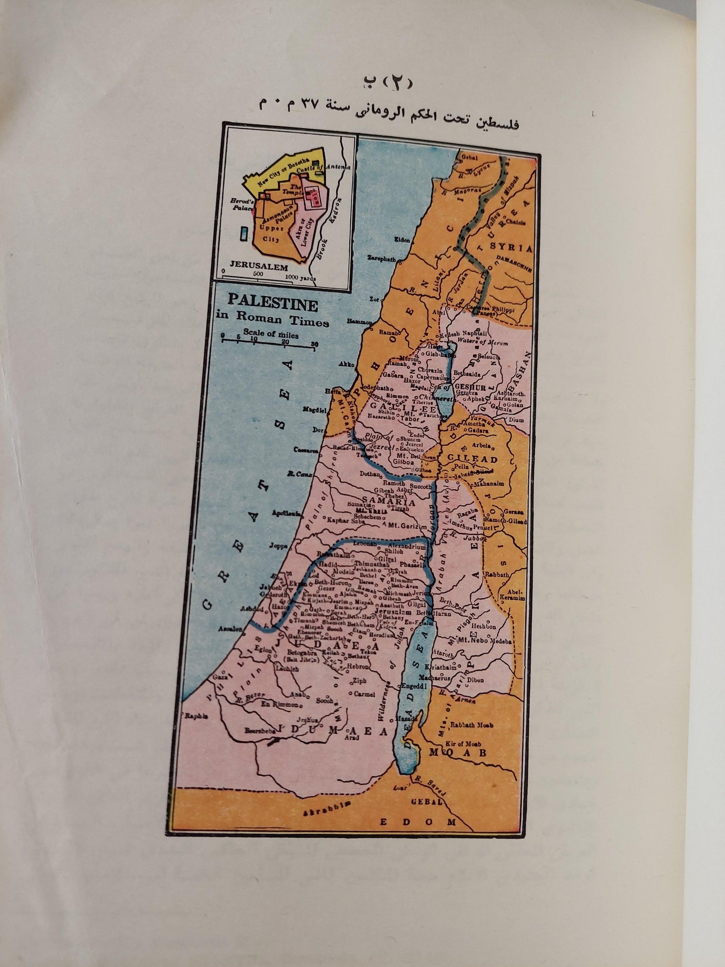 ملف وثائق فلسطين / ملحق بالخرائط والوثائق المهمة ( جزئين مجلدات ضخمة ) - متجر كتب مصر