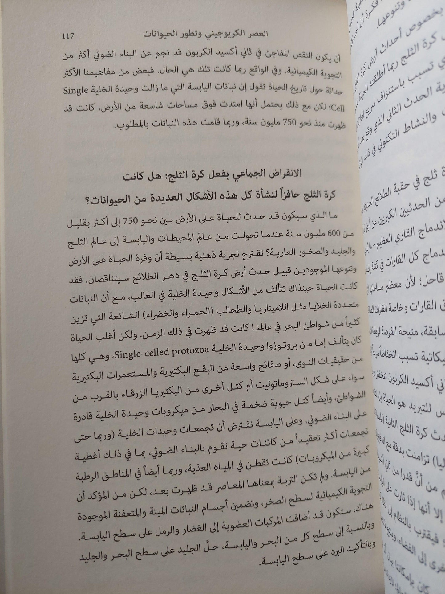 تاريخ جديد للحياة : الاكتشافات الجديدة الجذرية حول أصول الحياة علي الأرض وتطورها ط1 - متجر كتب مصر