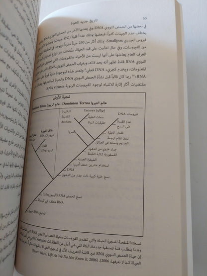 تاريخ جديد للحياة : الاكتشافات الجديدة الجذرية حول أصول الحياة علي الأرض وتطورها ط1 - متجر كتب مصر