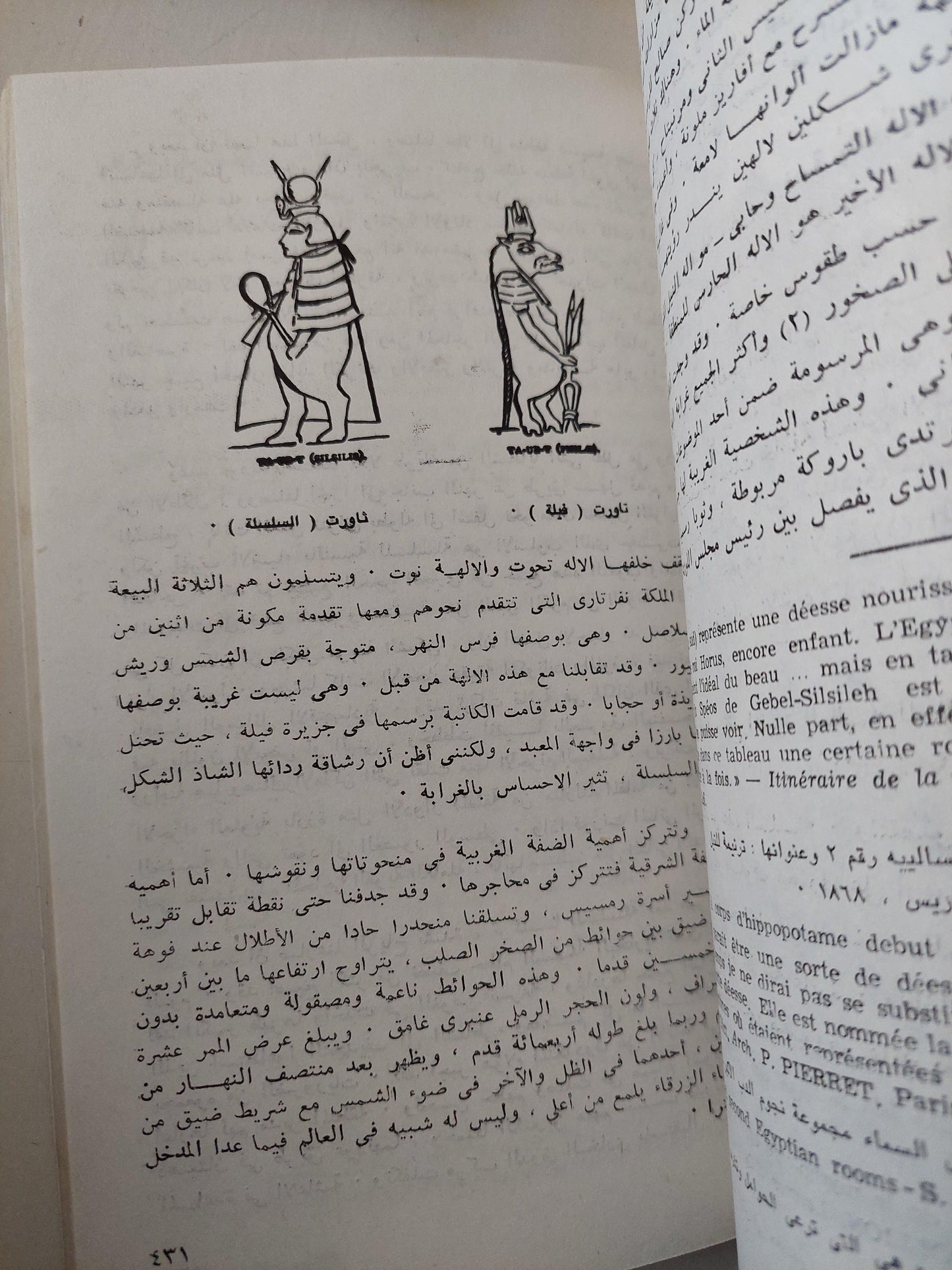 رحلة الألف ميل / إميليا إدواردز ( ملحق بالصور ) - متجر كتب مصر