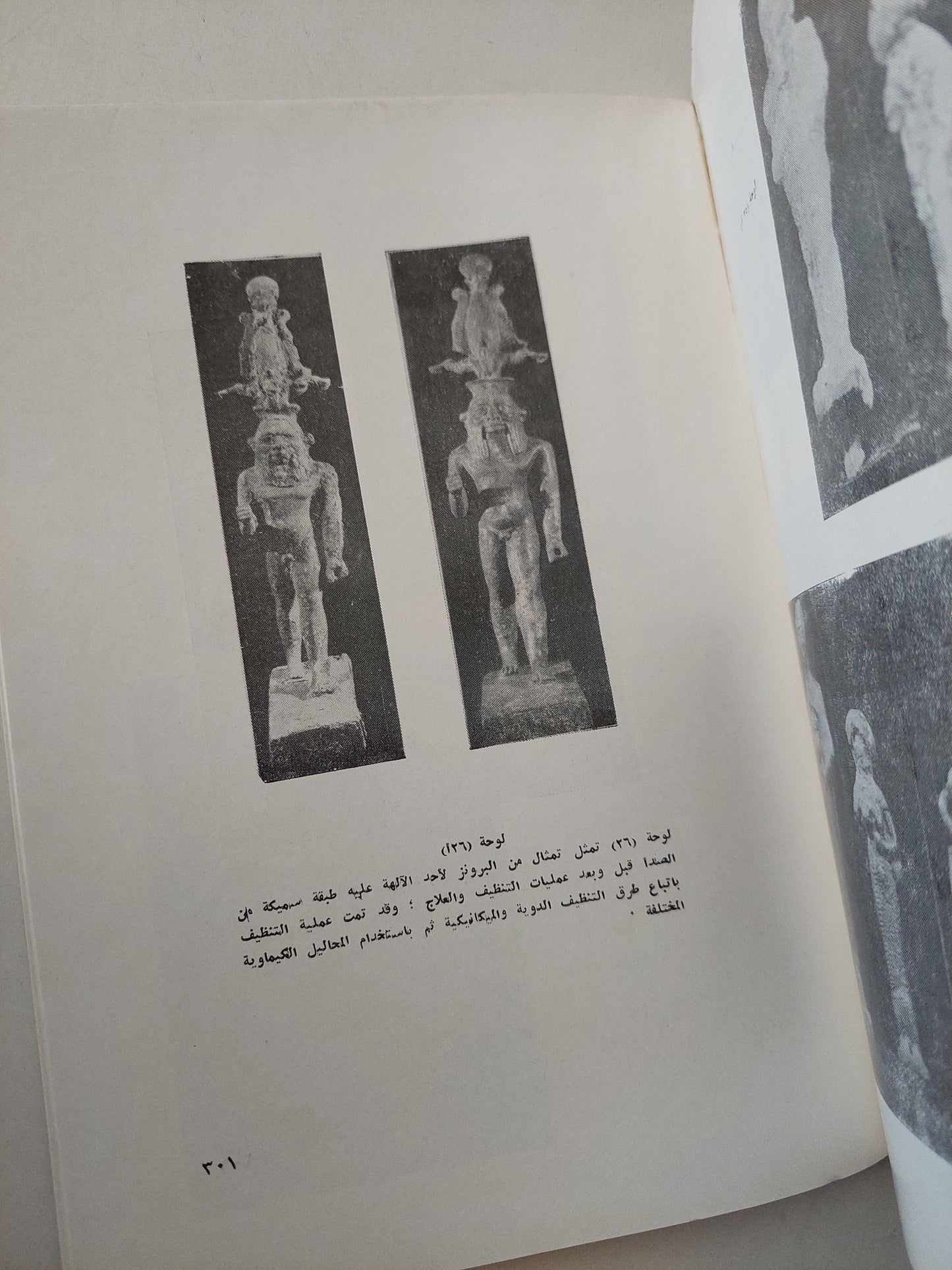 طرق صيانة وترميم الآثار والمقتنيات الفنية / ملحق بالصور - متجر كتب مصر